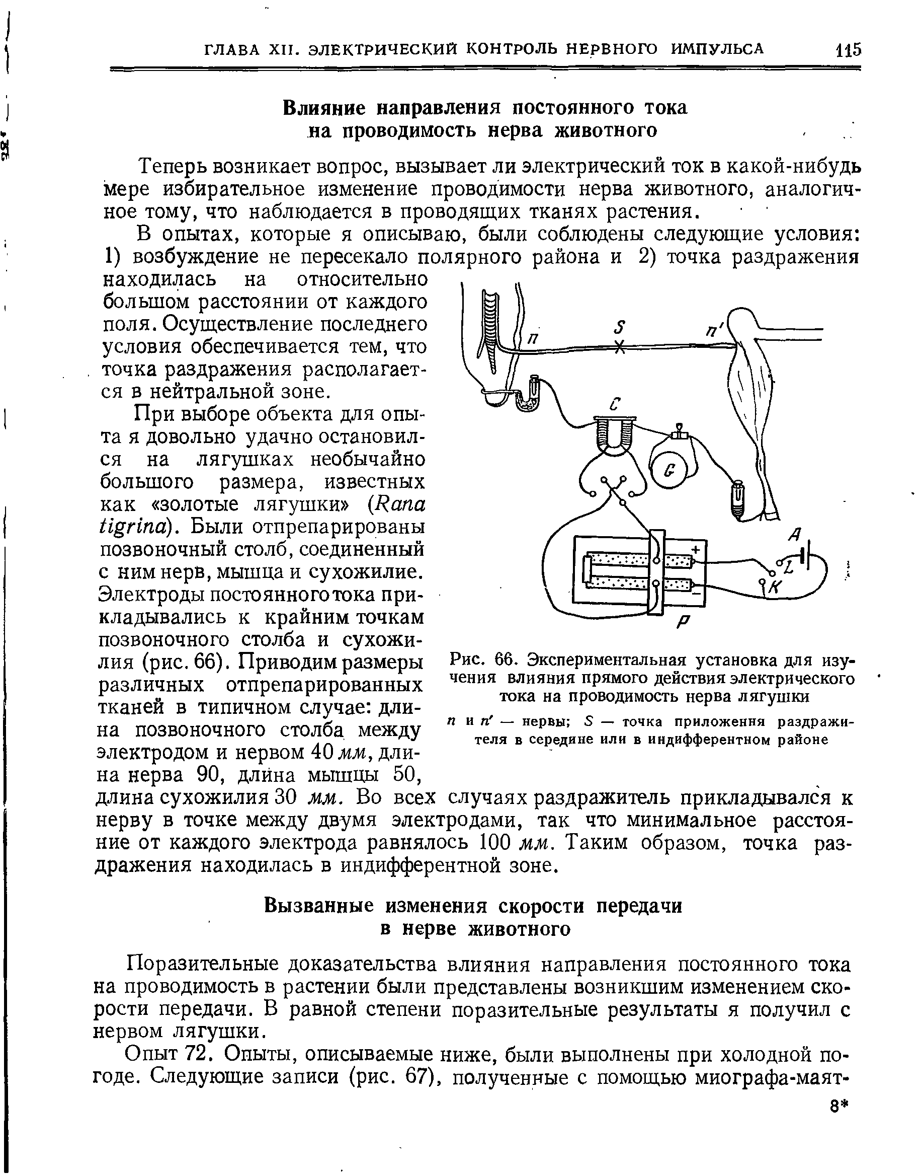 Рис. 66. Экспериментальная установка для изучения влияния прямого действия электрического тока на проводимость нерва лягушки пип — нервы Э — точка приложения раздражителя в середине или в индифферентном районе...