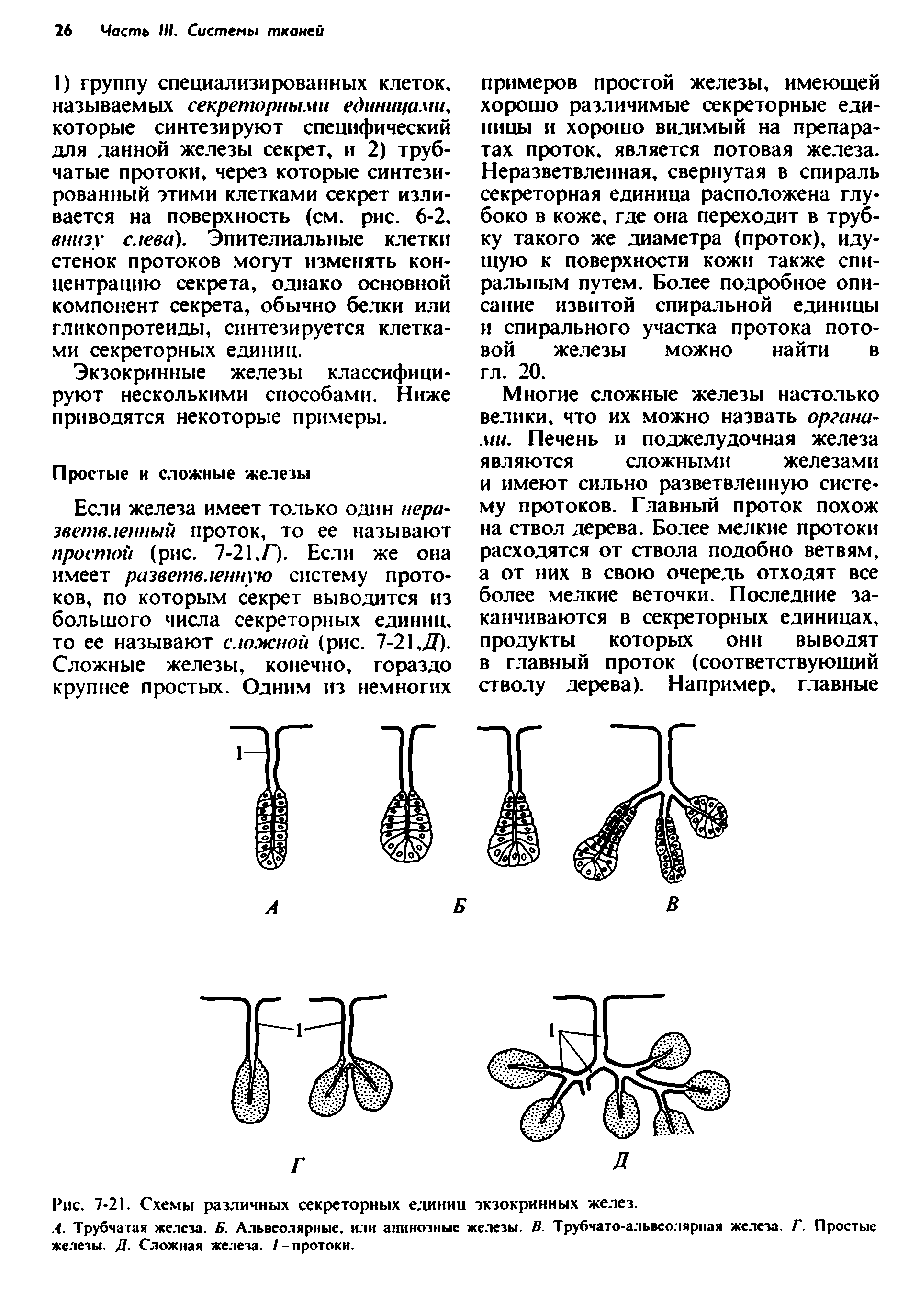 Рис. 7-21. Схемы различных секреторных единиц экзокринных желез.