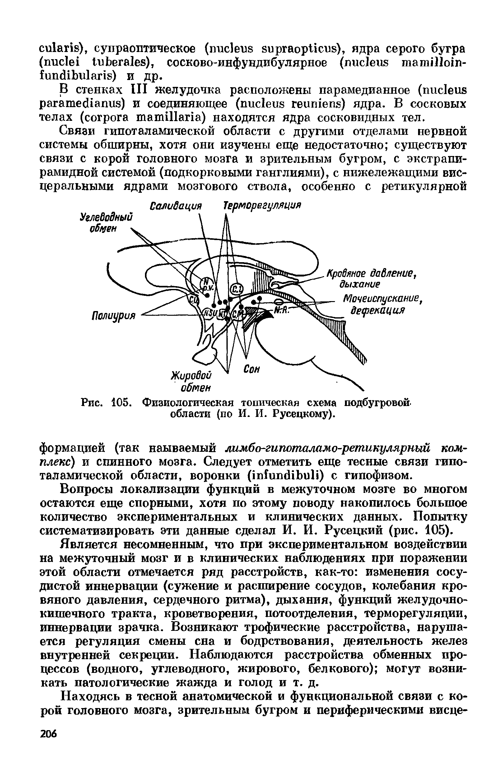 Рис. 105. Физиологическая топическая схема подбугровой области (по И. И. Русецкому).