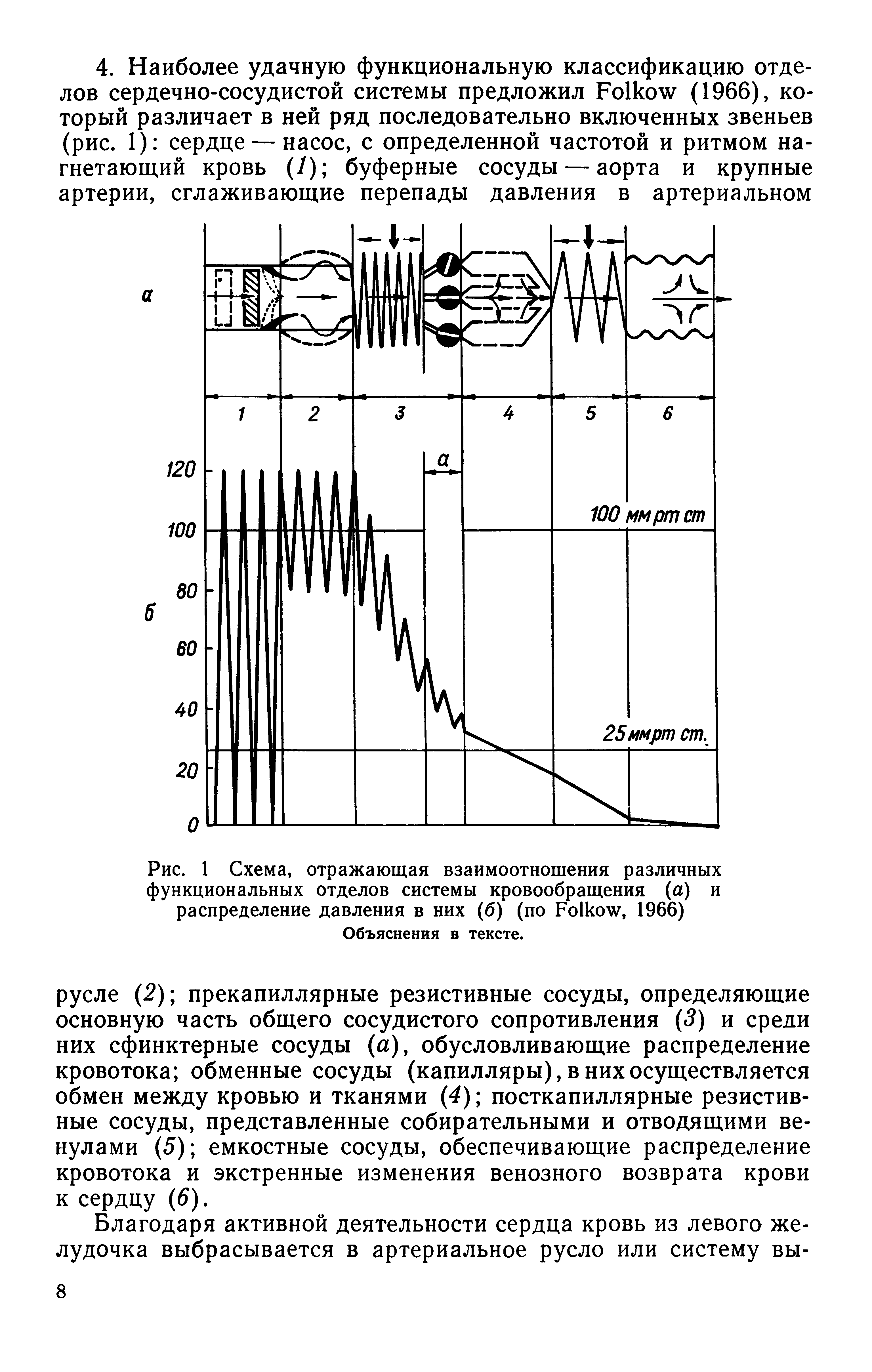 Рис. 1 Схема, отражающая взаимоотношения различных функциональных отделов системы кровообращения (а) и распределение давления в них (б) (по Ро1к<, 1966) Объяснения в тексте.