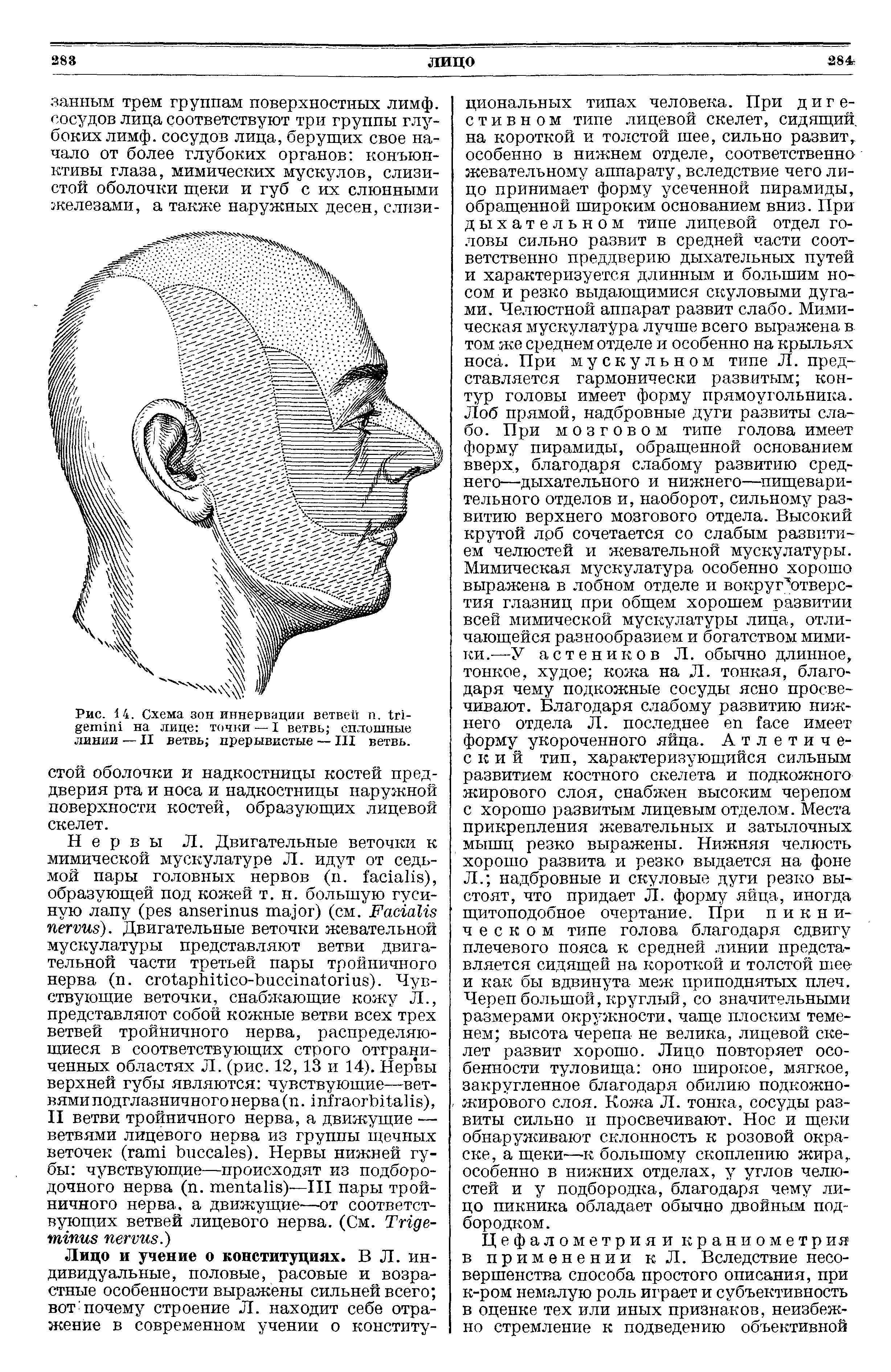 Рис. 14. Схема зон иннервации ветвей п. на лице точки — I ветвь сплошные линии — II ветвь прерывистые — III ветвь.