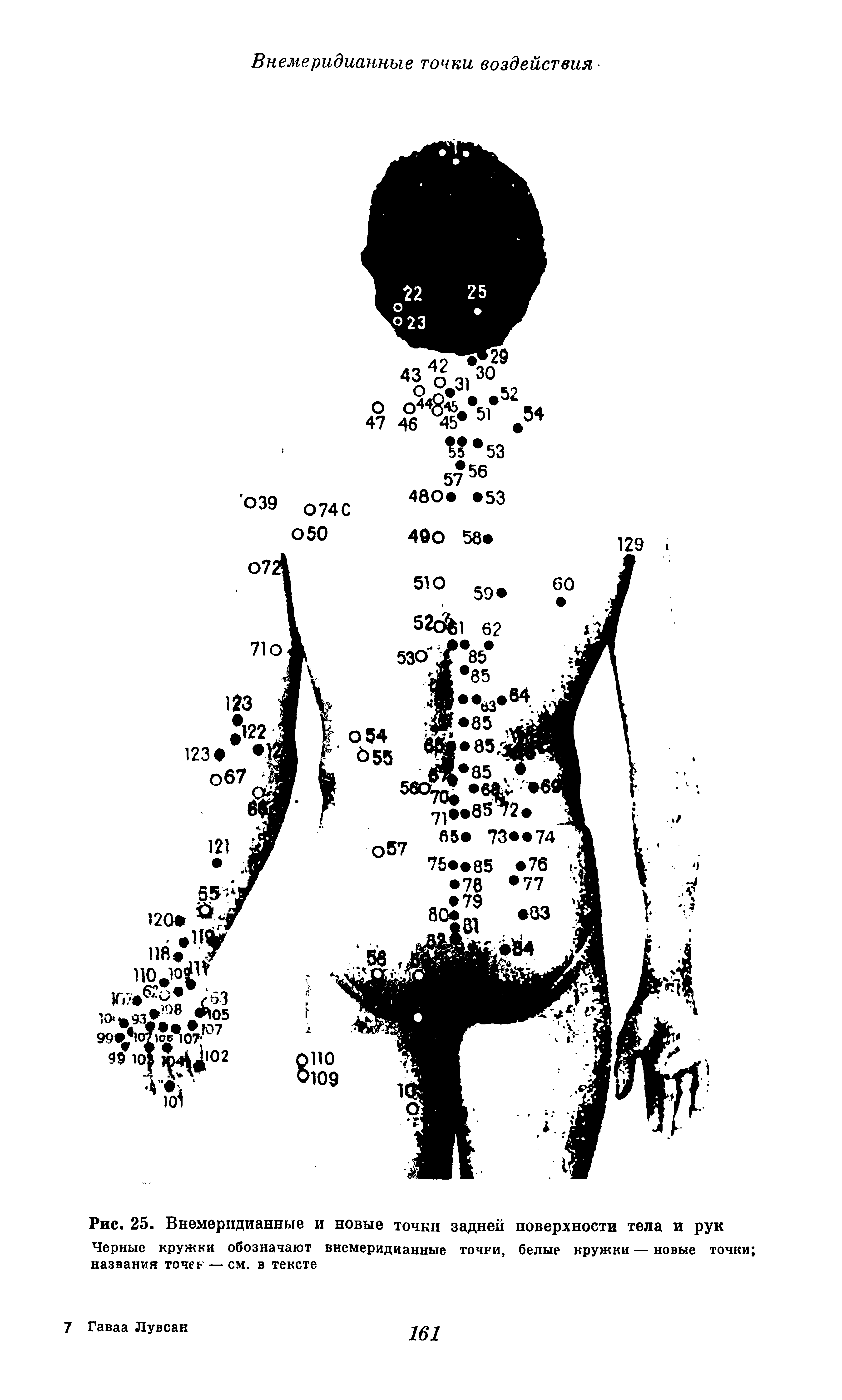 Рис. 25. Внемерпдианные и новые точки задней поверхности тела и рук Черные кружки обозначают внемеридианные точки, белые кружки — новые точки названия точек — см. в тексте...