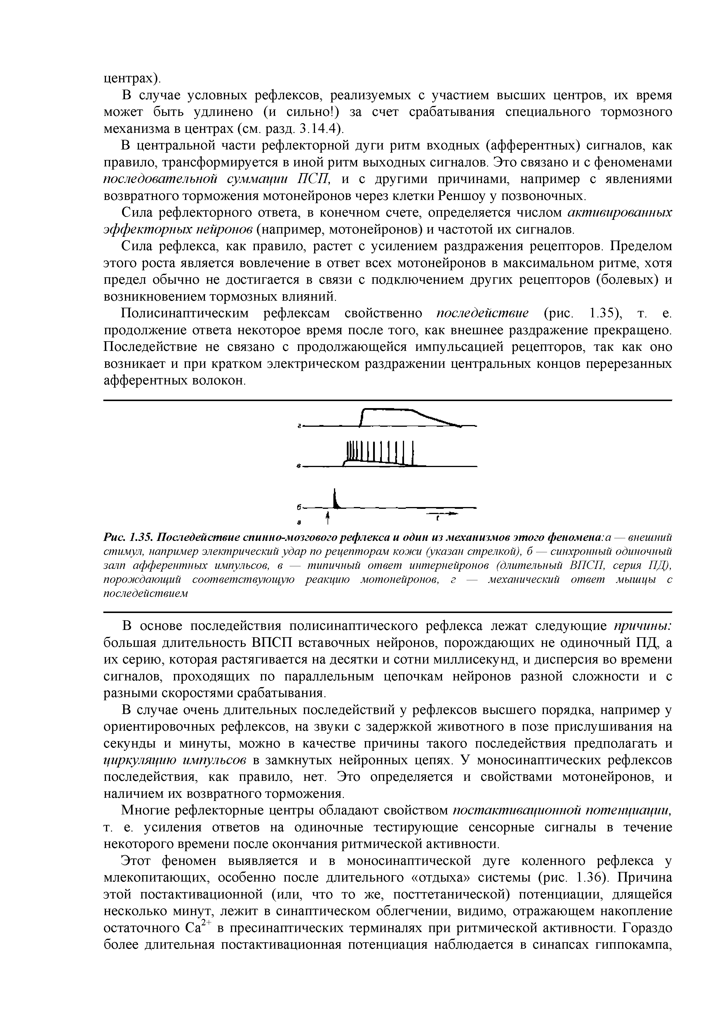 Рис. 1.35. Последействие спинно-мозгового рефлекса и один из механизмов этого феноменам — внешний стимул, например электрический удар по рецепторам кожи (указан стрелкой), б — синхронный одиночный залп афферентных импульсов, в — типичный ответ интернейронов (длительный ВПСП, серия ПД), порождающий соответствующую реакцию мотонейронов, г — механический ответ мышцы с последействием...