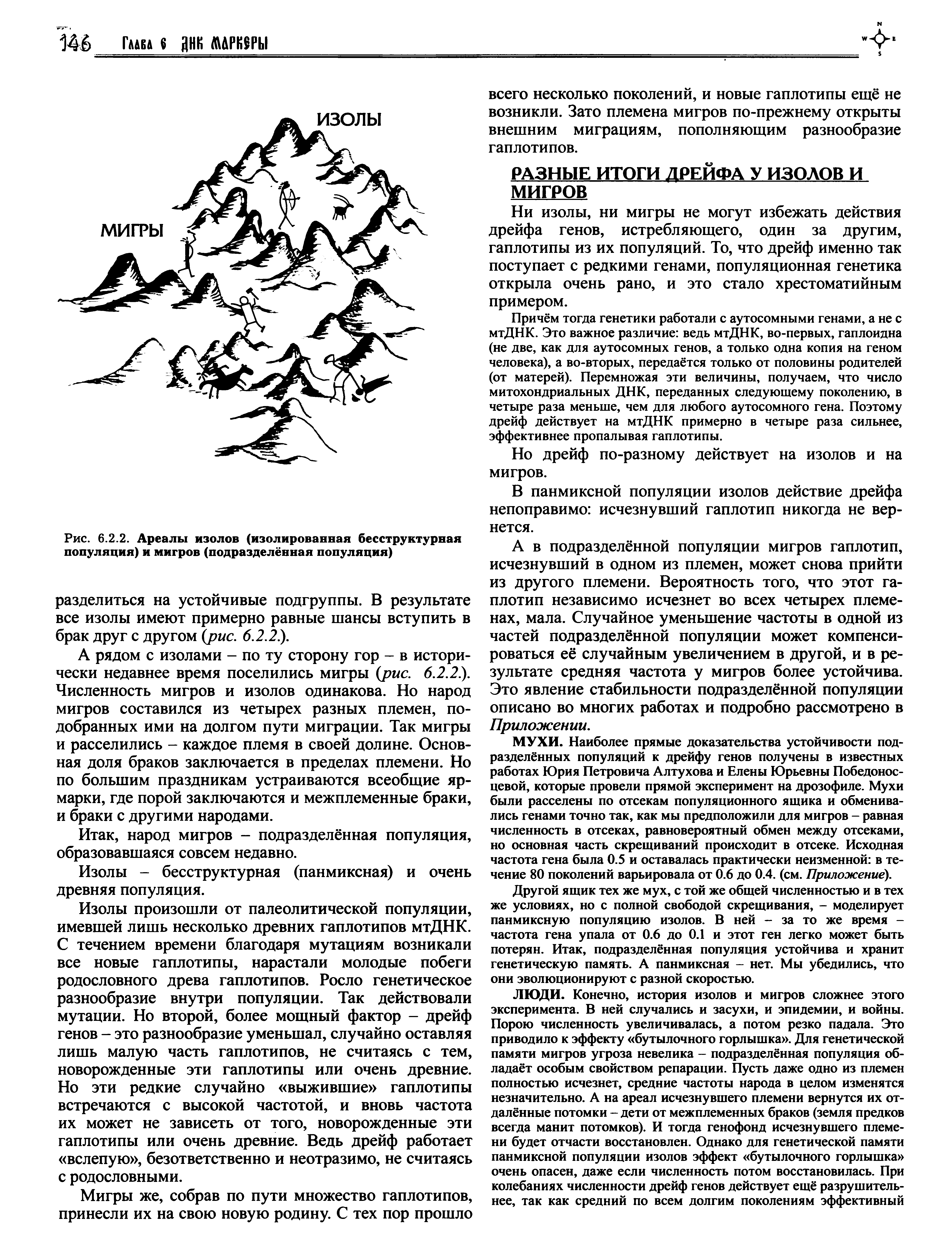 Рис. 6.2.2. Ареалы изолов (изолированная бесструктурная популяция) и мигров (подразделённая популяция)...