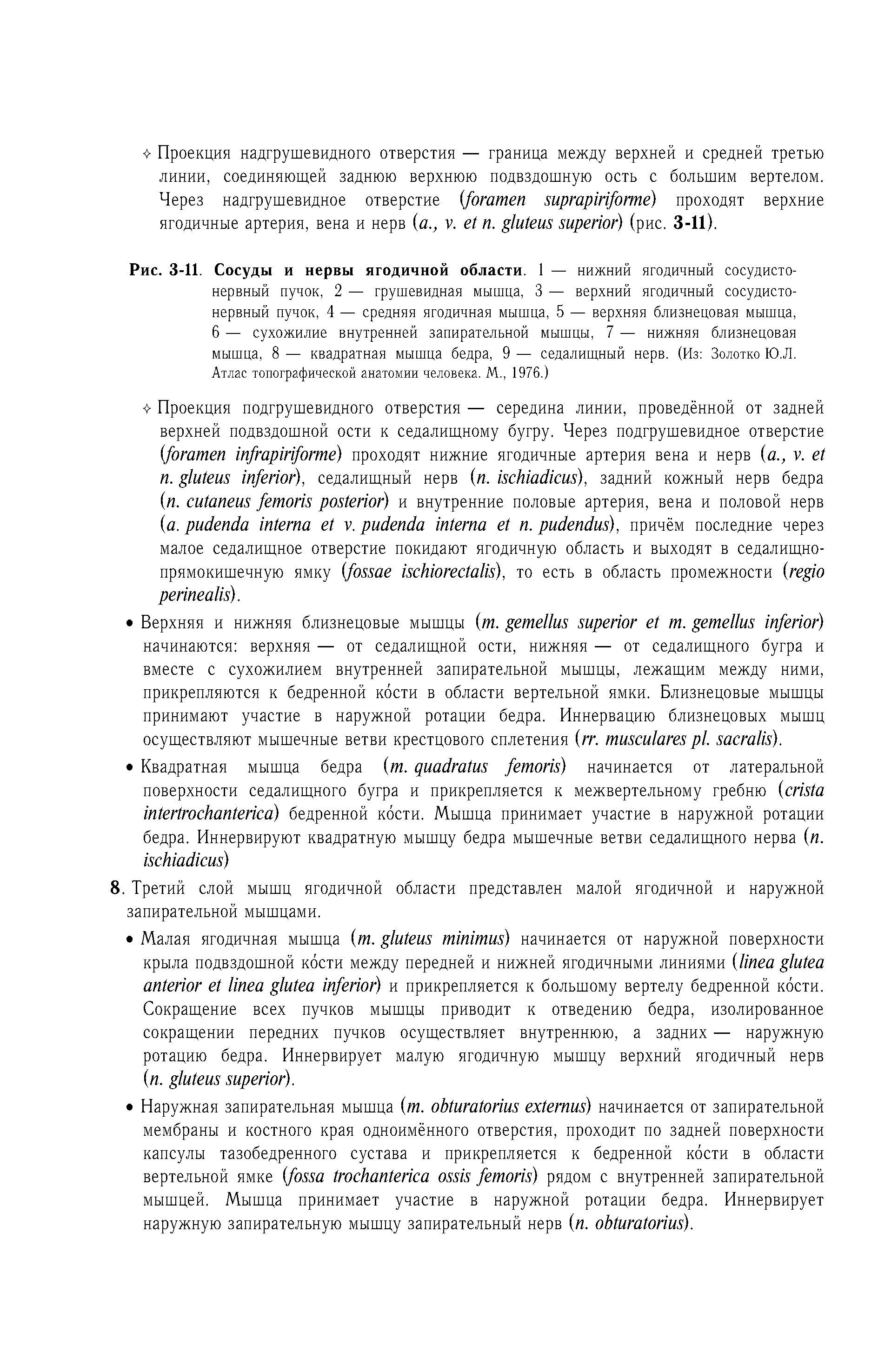 Рис. 3-11. Сосуды и нервы ягодичной области. 1 — нижний ягодичный сосудистонервный пучок, 2 — грушевидная мышца, 3 — верхний ягодичный сосудистонервный пучок, 4 — средняя ягодичная мышца, 5 — верхняя близнецовая мышца, 6 — сухожилие внутренней запирательной мышцы, 7 — нижняя близнецовая мышца, 8 — квадратная мышца бедра, 9 — седалищный нерв. (Из Золотко Ю.Л. Атлас топографической анатомии человека. М., 1976.)...
