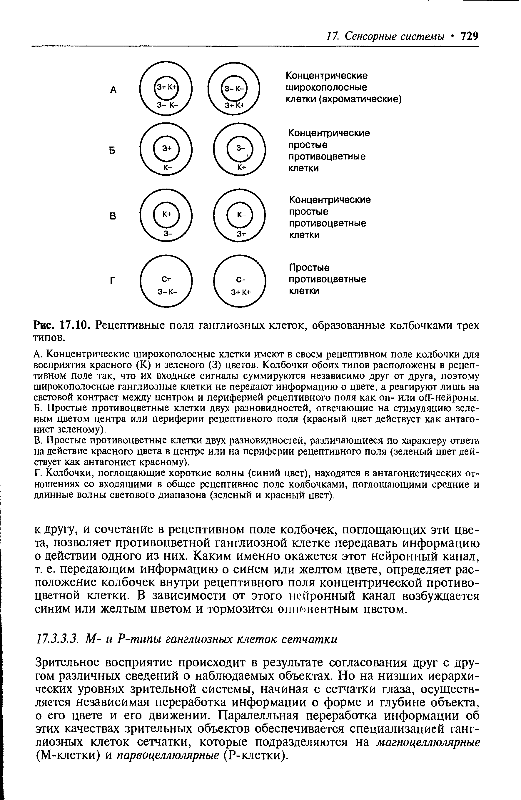 Рис. 17.10. Рецептивные поля ганглиозных клеток, образованные колбочками трех типов.
