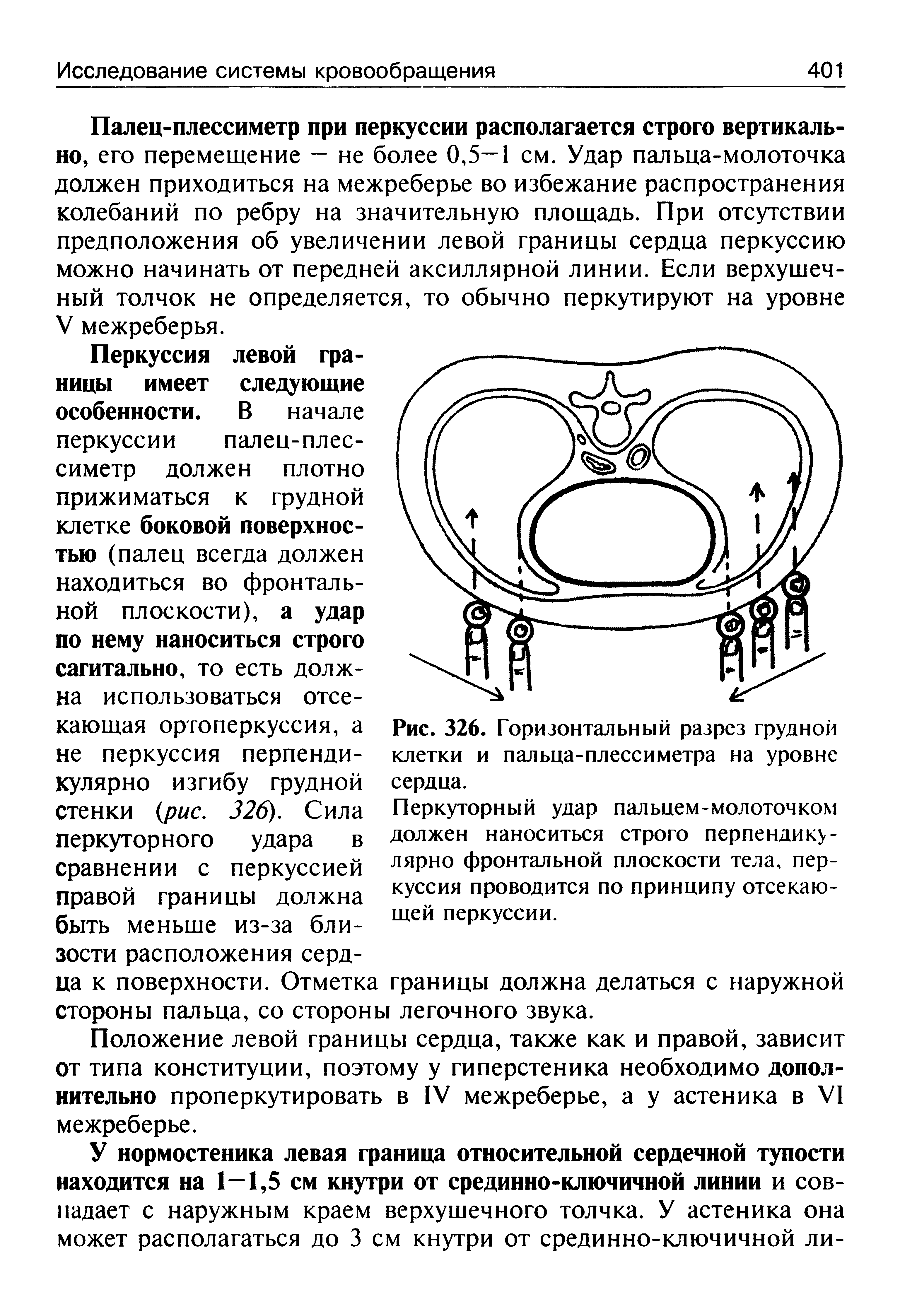 Рис. 326. Горизонтальный разрез грудной клетки и пальца-плессиметра на уровне сердца.