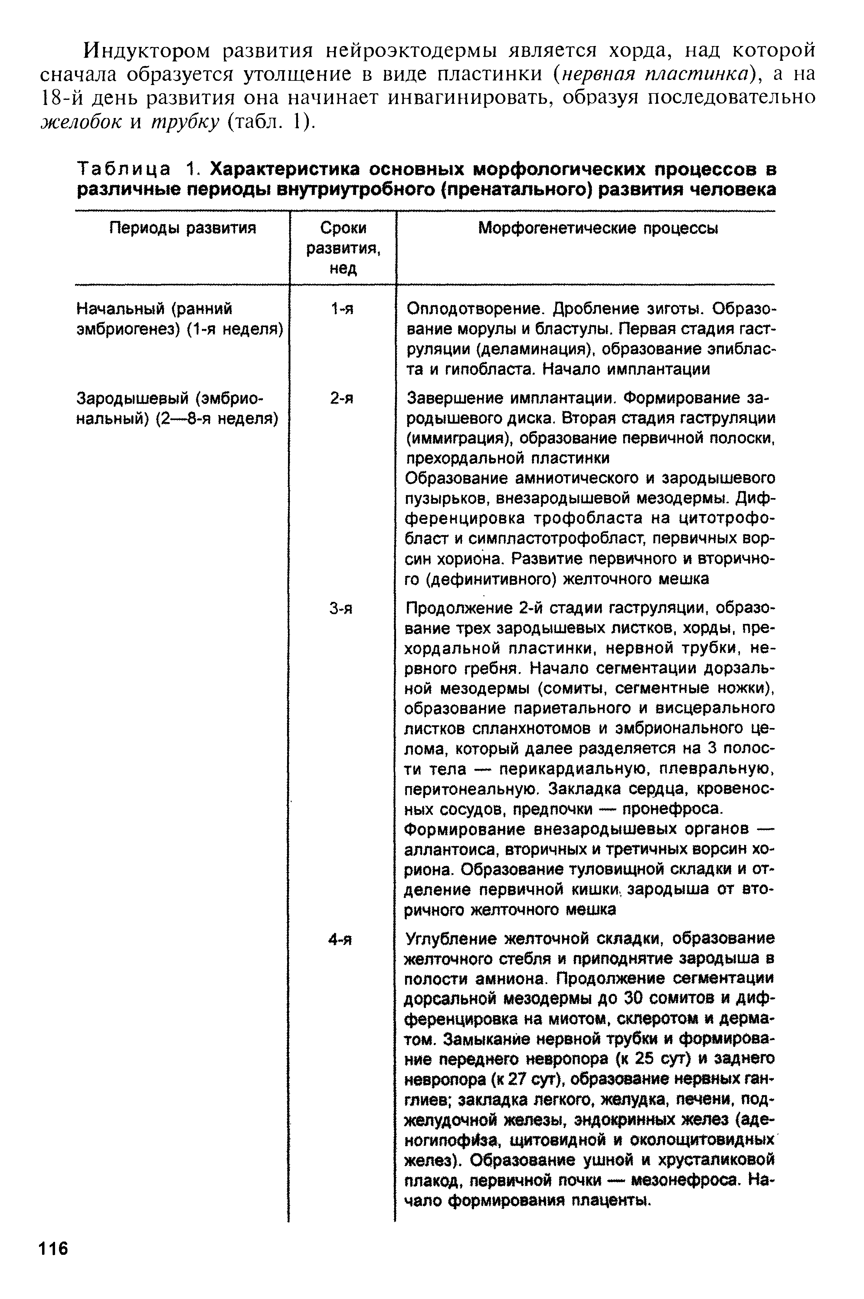 Таблица 1. Характеристика основных морфологических процессов в различные периоды внутриутробного (пренатального) развития человека...