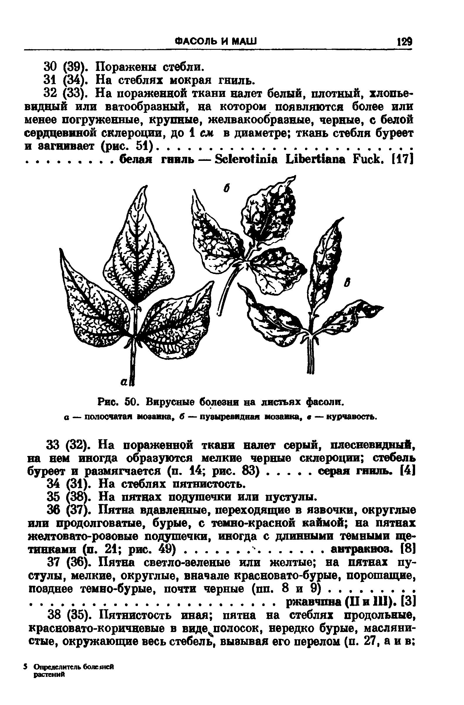 Рис. 50. Вирусные болезни на листьях фасоли, а — полосчатая мозаика, б — пузыревидная мозаика, — курчавость.