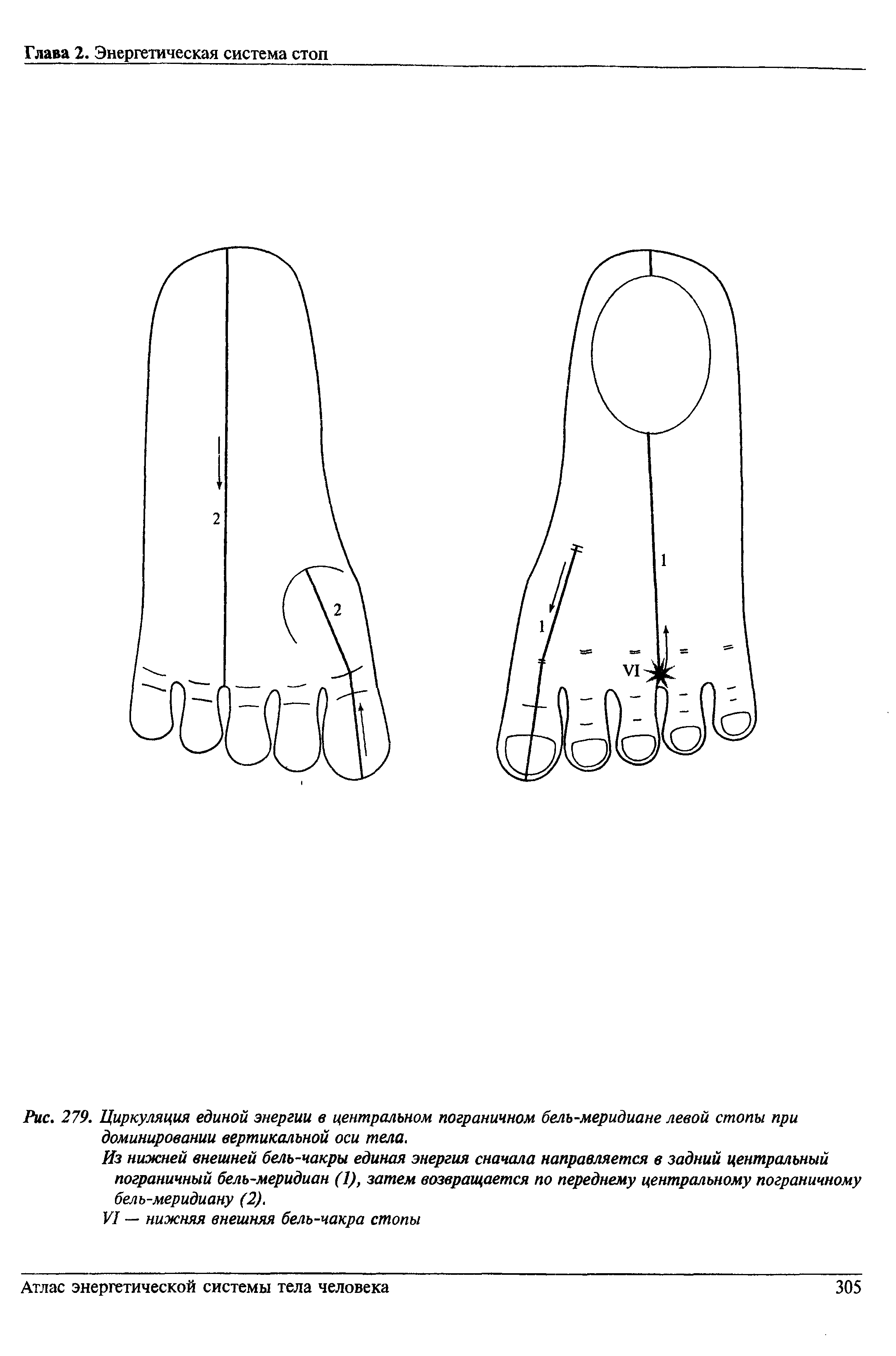Рис. 279. Циркуляция единой энергии в центральном пограничном бель-меридиане левой стопы при доминировании вертикальной оси тела.