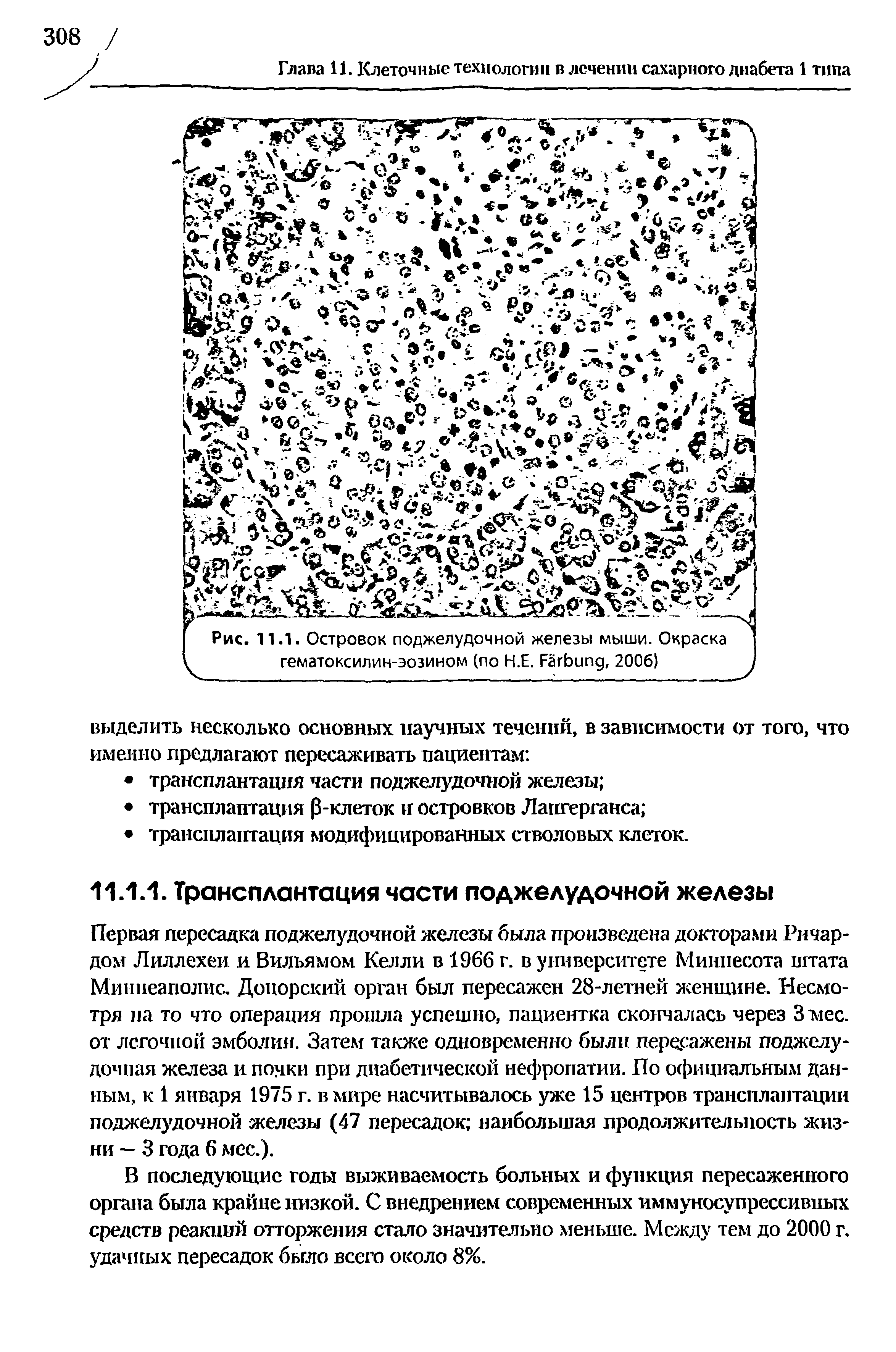 Рис. 11.1. Островок поджелудочной железы мыши. Окраска гематоксилин-эозином (по Н.Е. F , 2006)...