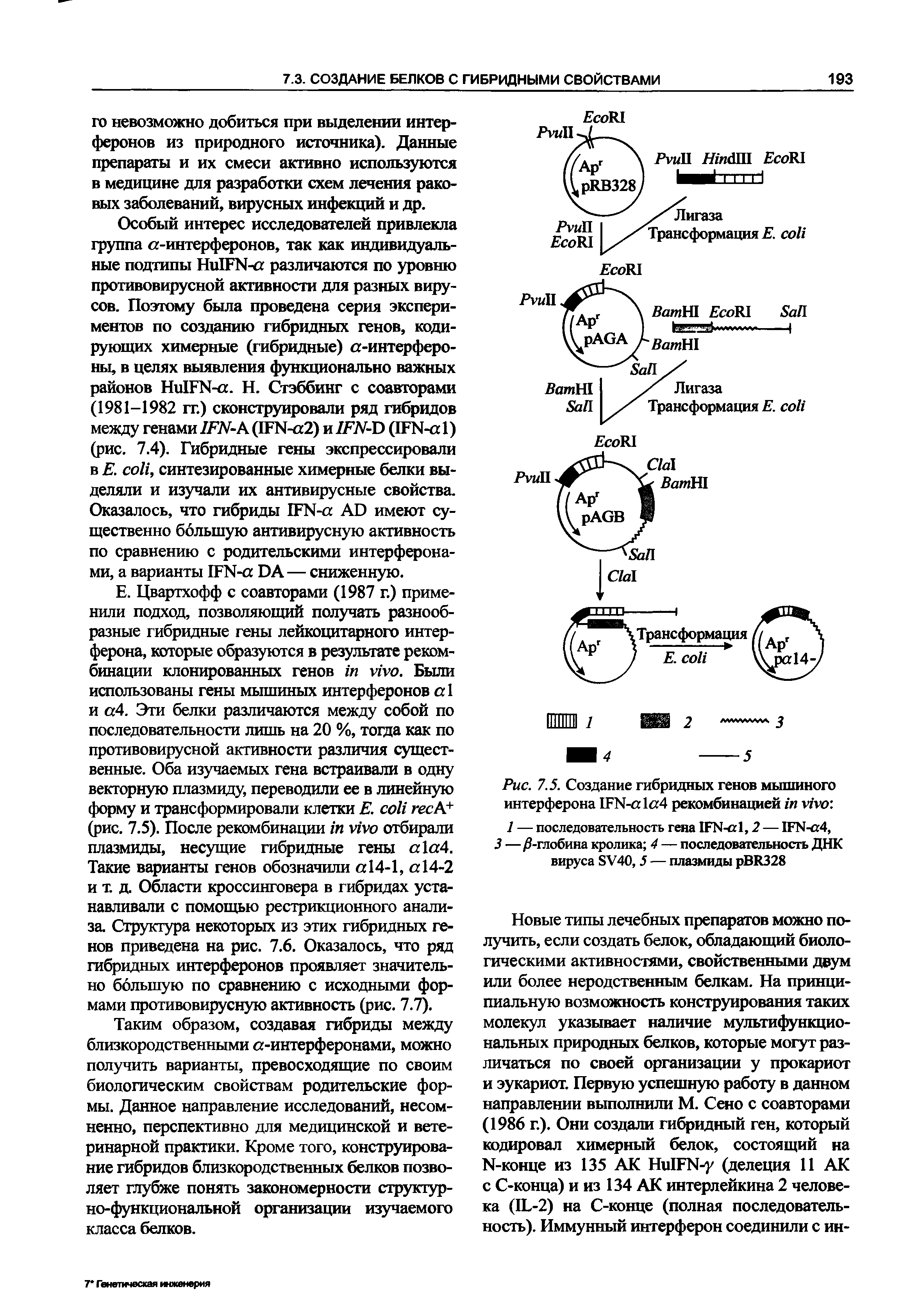 Рис. 7.5. Создание гибридных генов мышиного интерферона IFN- 1а4 рекомбинацией ...