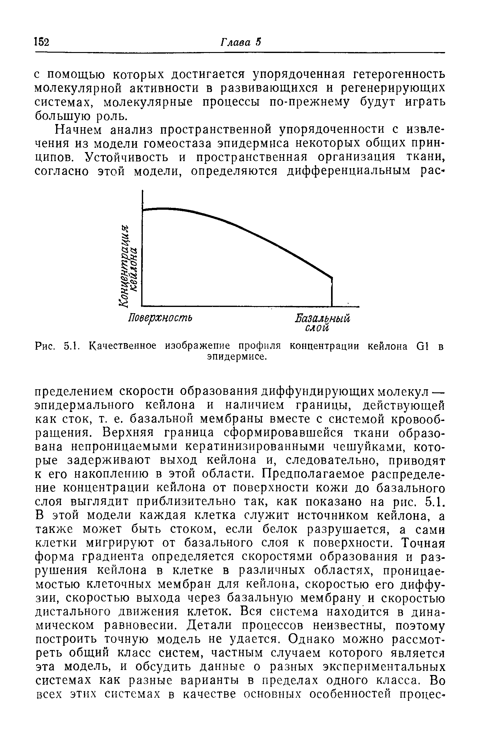 Рис. 5.1. Качественное изображение профиля концентрации кейлона й1 в эпидермисе.