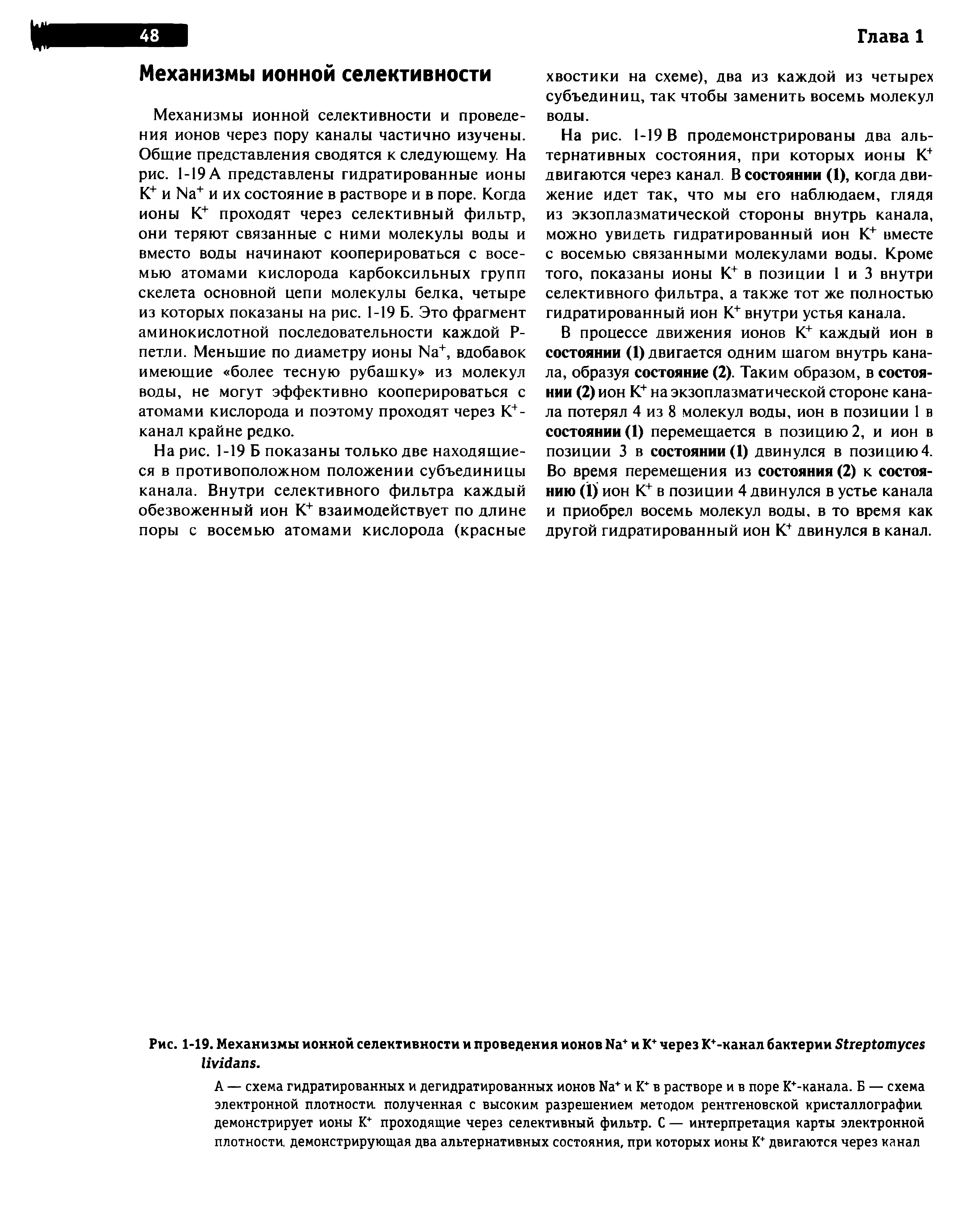 Рис. 1-19. Механизмы ионной селективности и проведения ионов Ыа+ и К через К+-канал бактерии З ериипусез 1тйапз.