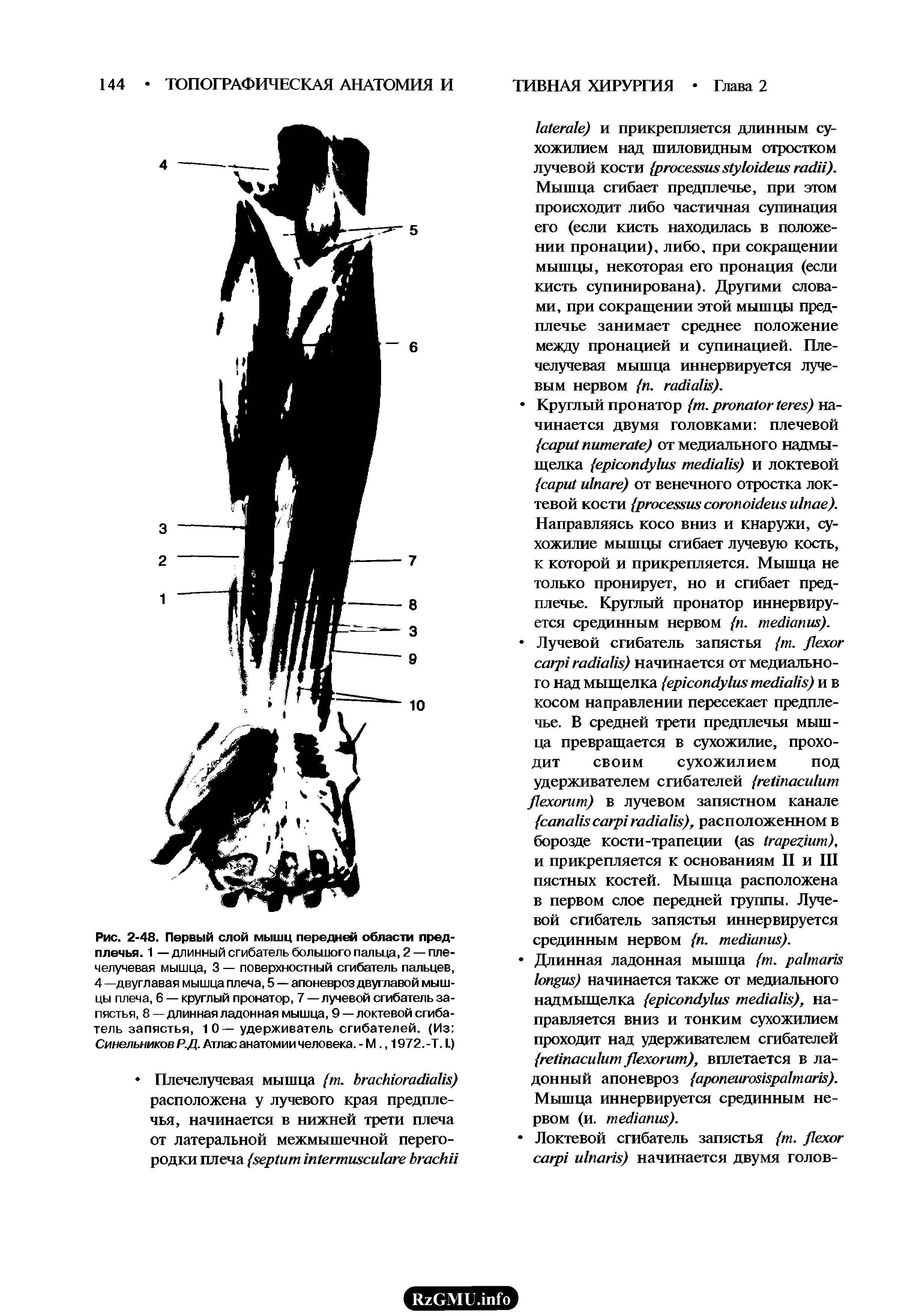 Рис. 2-48. Первый слой мышц передней области предплечья. 1 — длинный сгибатель большого пальца, 2 — пле-челучевая мышца, 3 — поверхностный сгибатель пальцев, 4 —двуглавая мышца плеча, 5 — апоневроз двуглавой мышцы плеча, 6 — круглый пронатор, 7—лучевой сгибатель запястья, 8 — длинная ладонная мышца, 9—локтевой сгибатель запястья, 1 0—удерживатель сгибателей. (Из Синельников Р.Д. Атлас анатомии человека. - М., 1972.-Т. I.)...