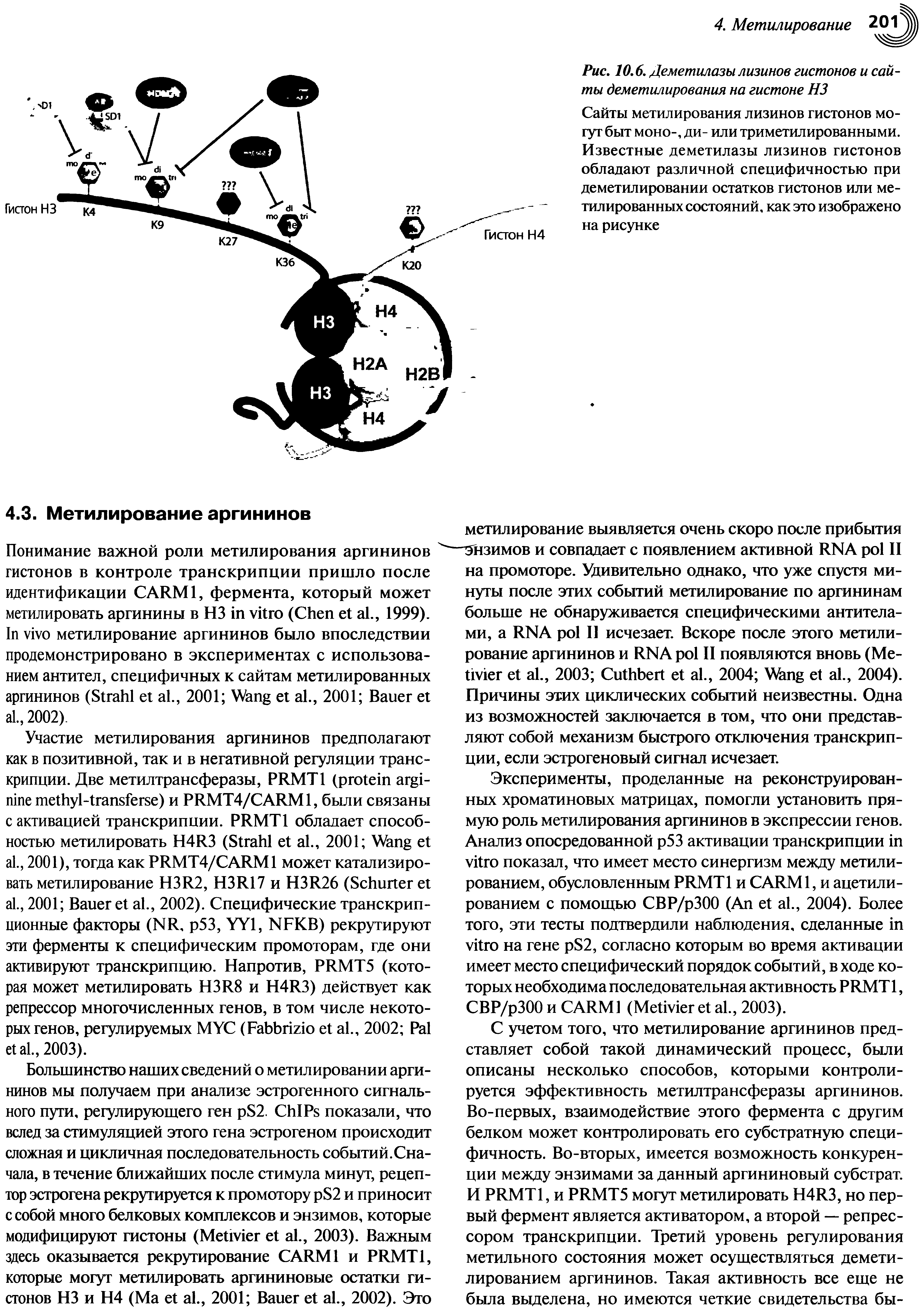 Рис. 10.6. Деметилазы лизинов гистонов и сайты деметилирования на гистоне НЗ...