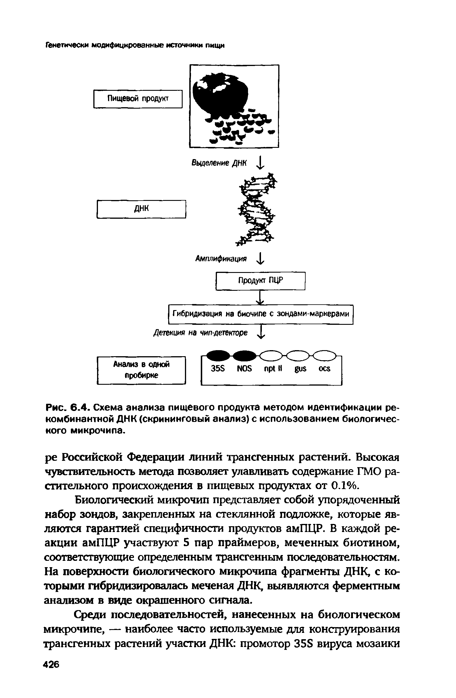 Рис. 6.4. Схема анализа пищевого продукта методом идентификации рекомбинантной ДНК (скрининговый анализ) с использованием биологического микрочипа.