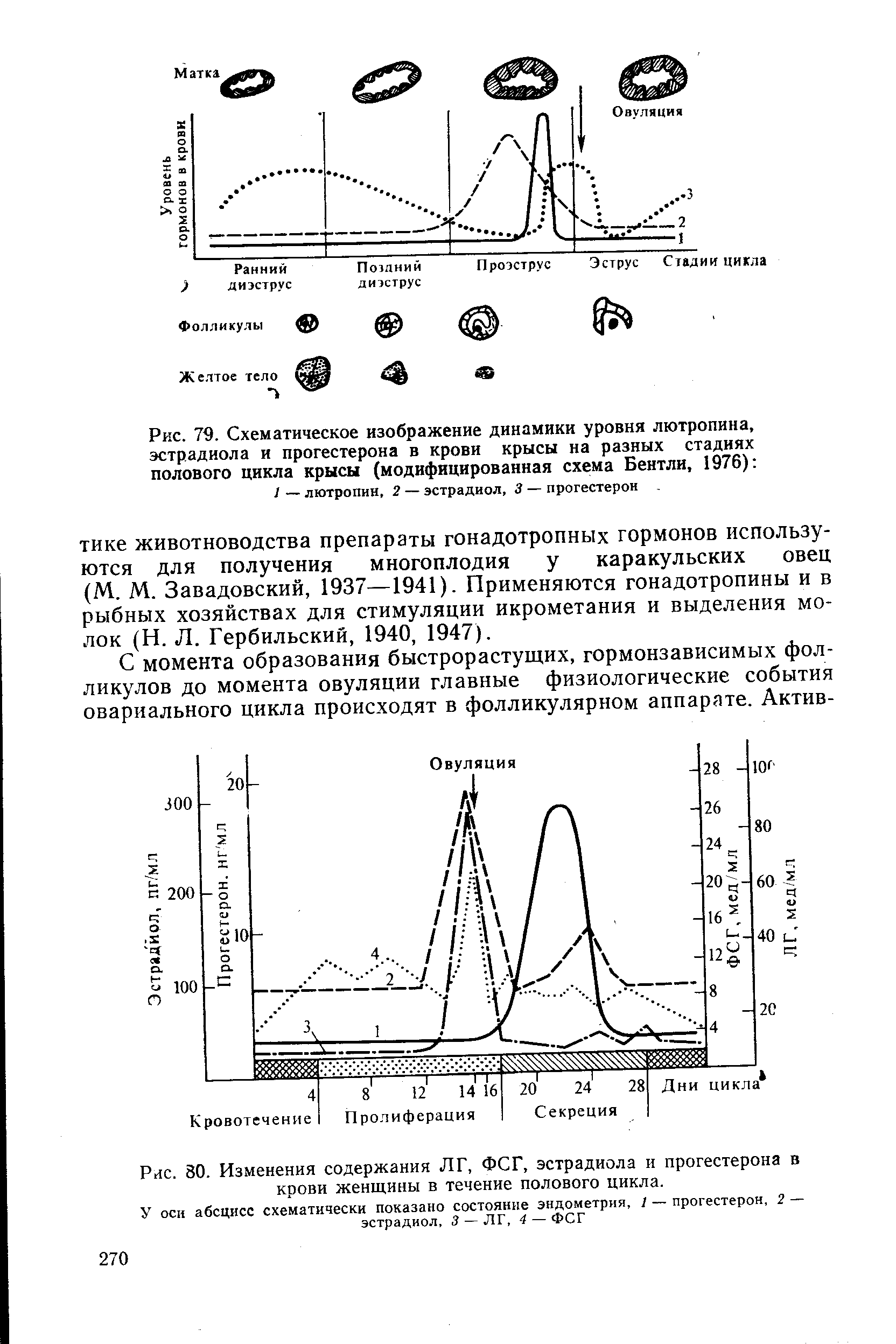 Рис. 79. Схематическое изображение динамики уровня лютропина, эстрадиола и прогестерона в крови крысы на разных стадиях полового цикла крысы (модифицированная схема Бентли, 1976) ...