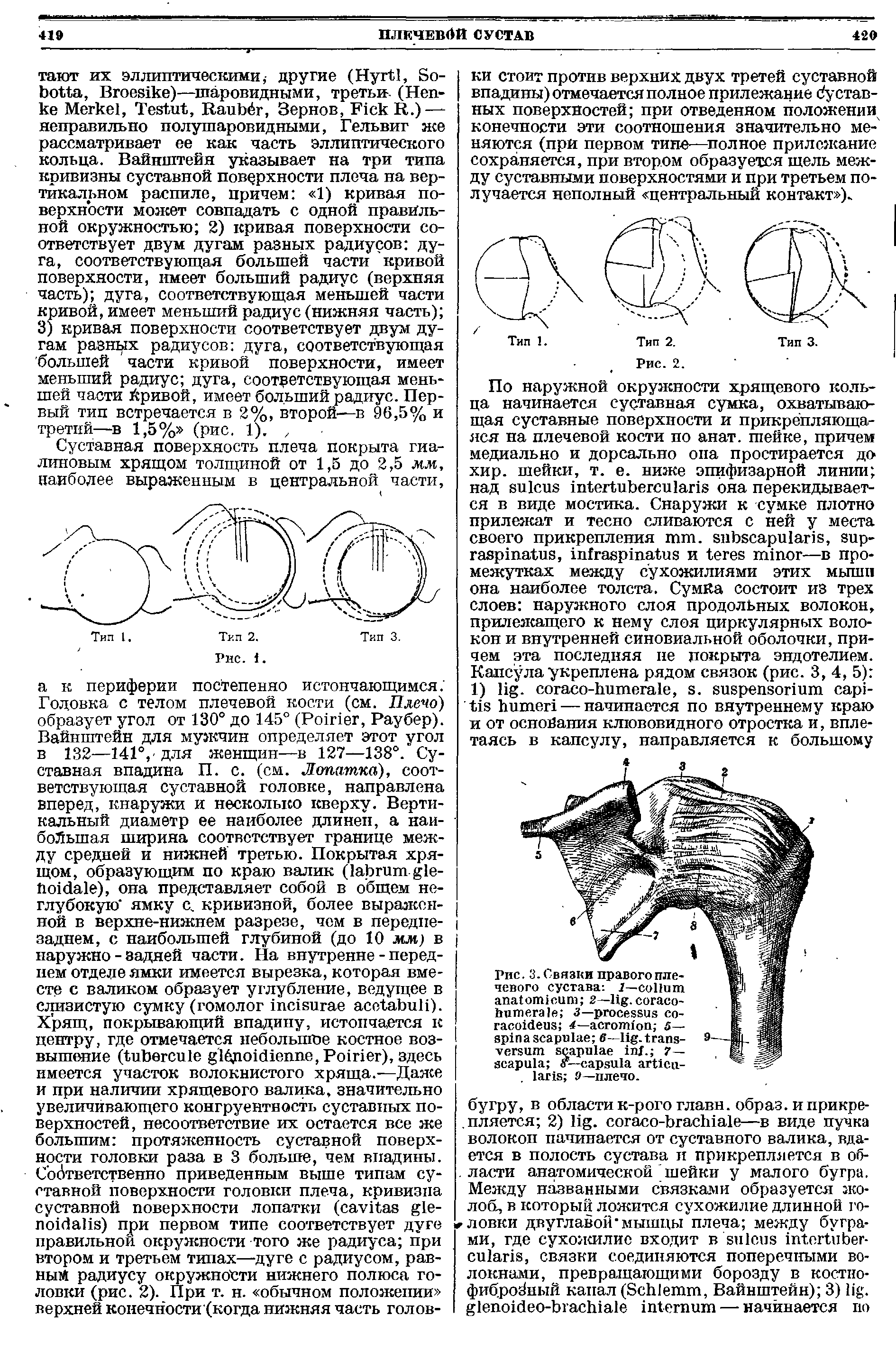 Рис. 3. Связки правого плечевого сустава Г— 2— . - 3— - 4— 5— 6— . - . 7— -. 9—плечо.