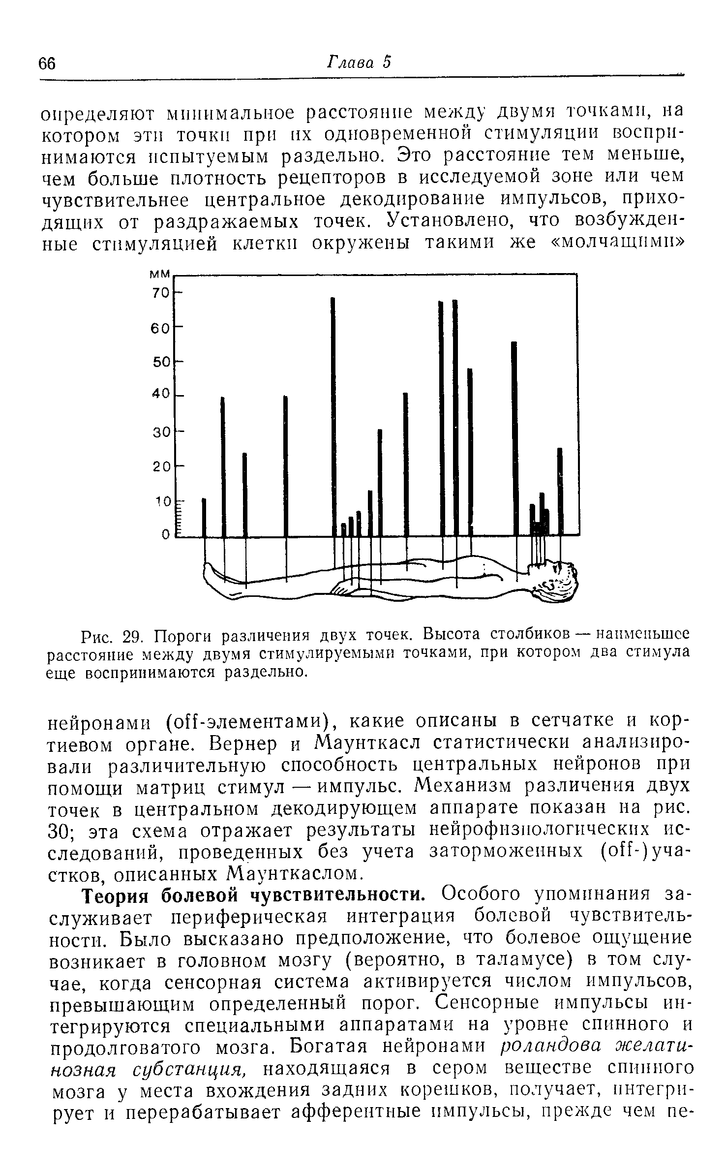 Рис. 29. Пороги различения двух точек. Высота столбиков — наименьшее расстояние между двумя стимулируемыми точками, при котором два стимула еще воспринимаются раздельно.