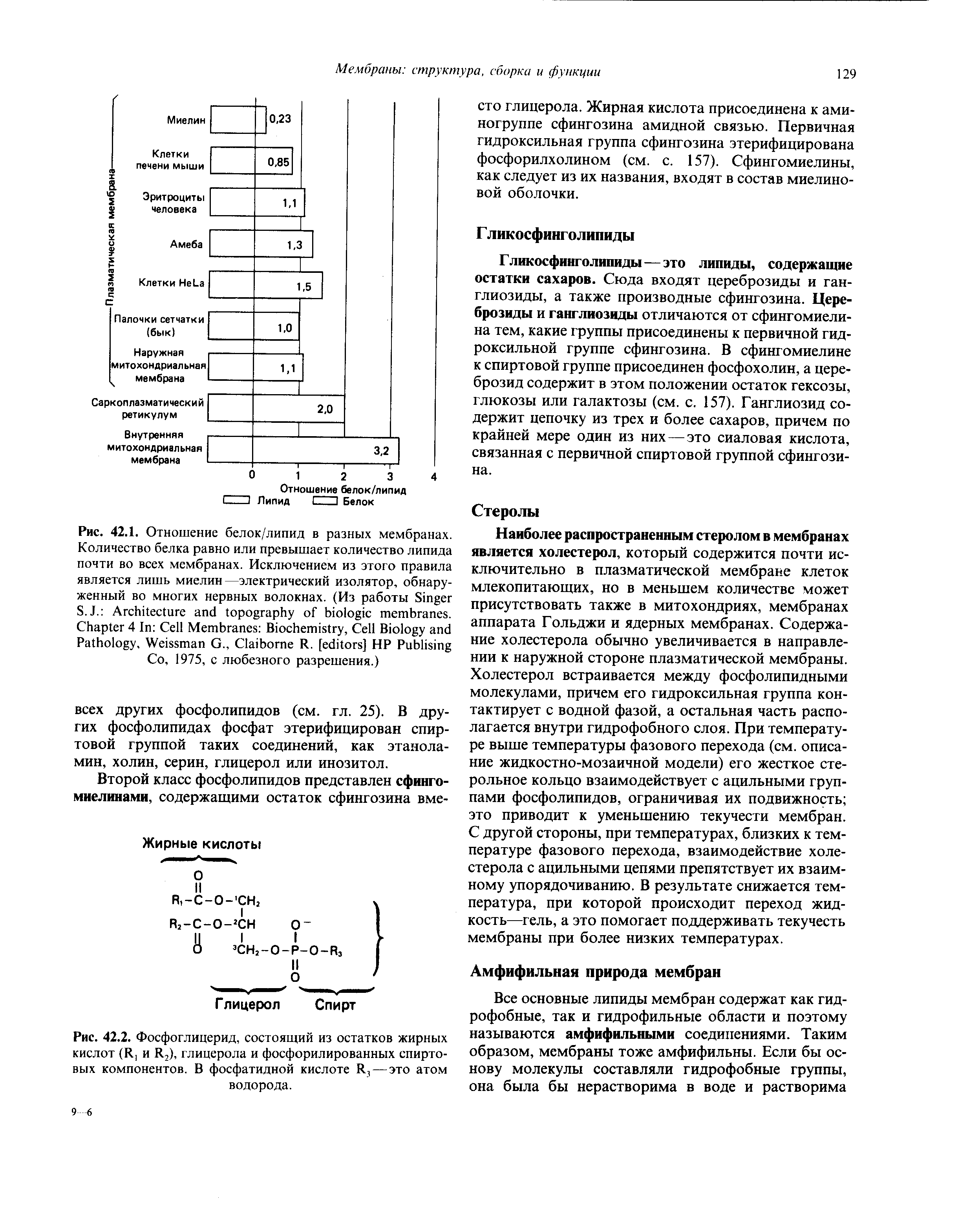 Рис. 42.2. Фосфоглицерид, состоящий из остатков жирных кислот (К, и Я2), глицерола и фосфорилированных спиртовых компонентов. В фосфатидной кислоте Я, — это атом водорода.