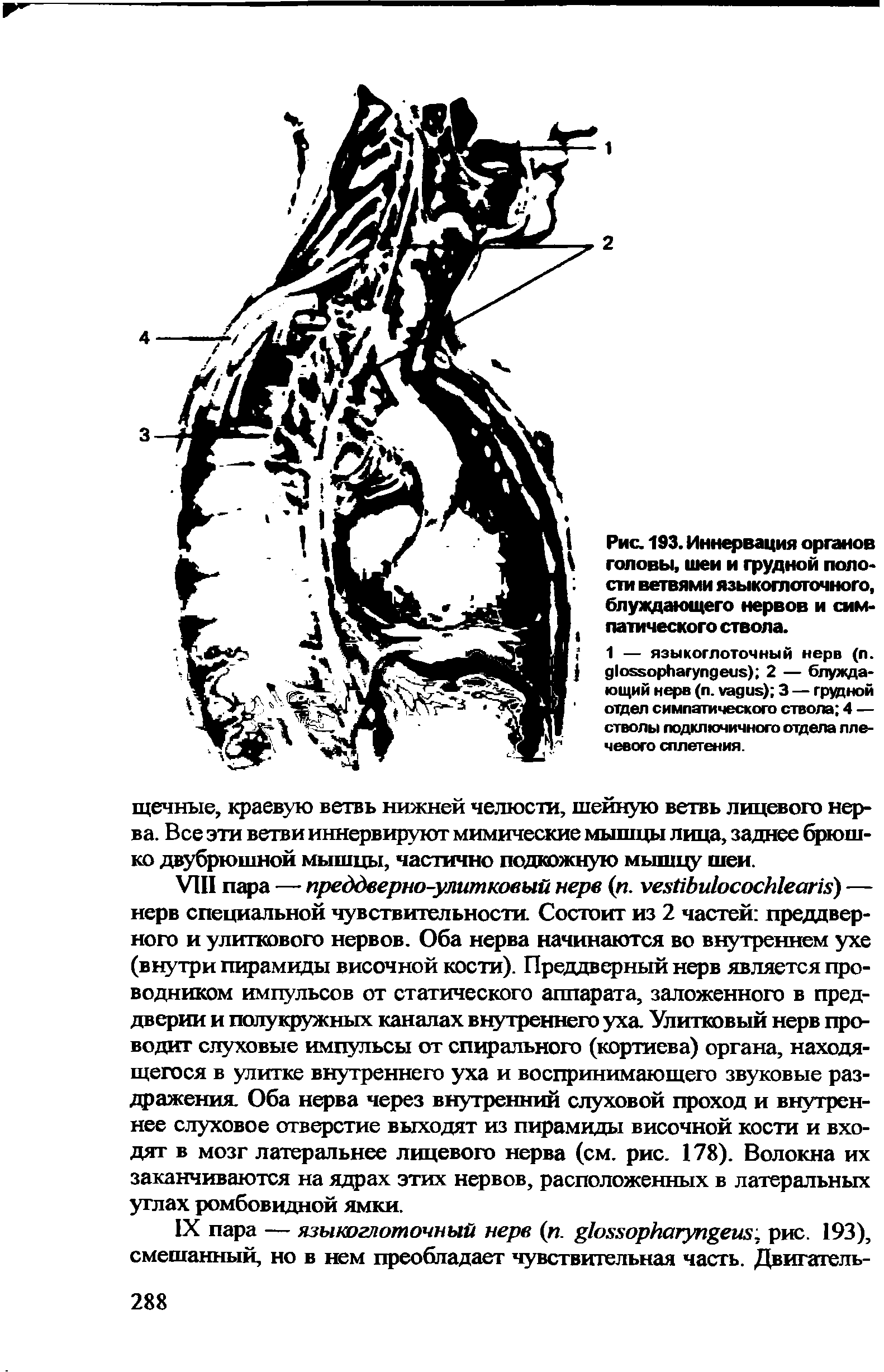 Рис. 193. Иннервация органов головы, шеи и грудной поло сти ветвями языкоглоточного, блуждающего нервов и симпатического ствола.