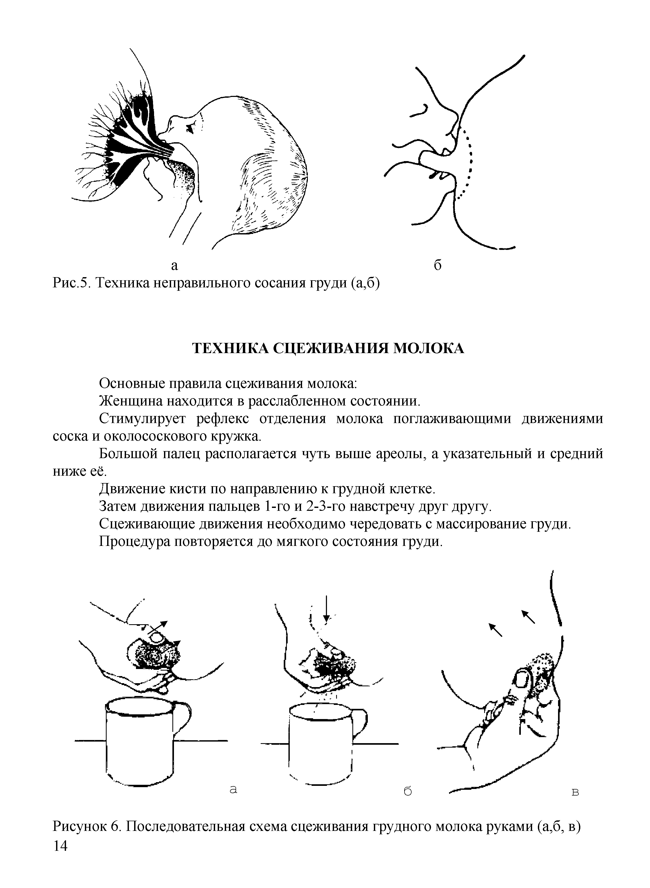 Рисунок 6. Последовательная схема сцеживания грудного молока руками (а,б, в)...