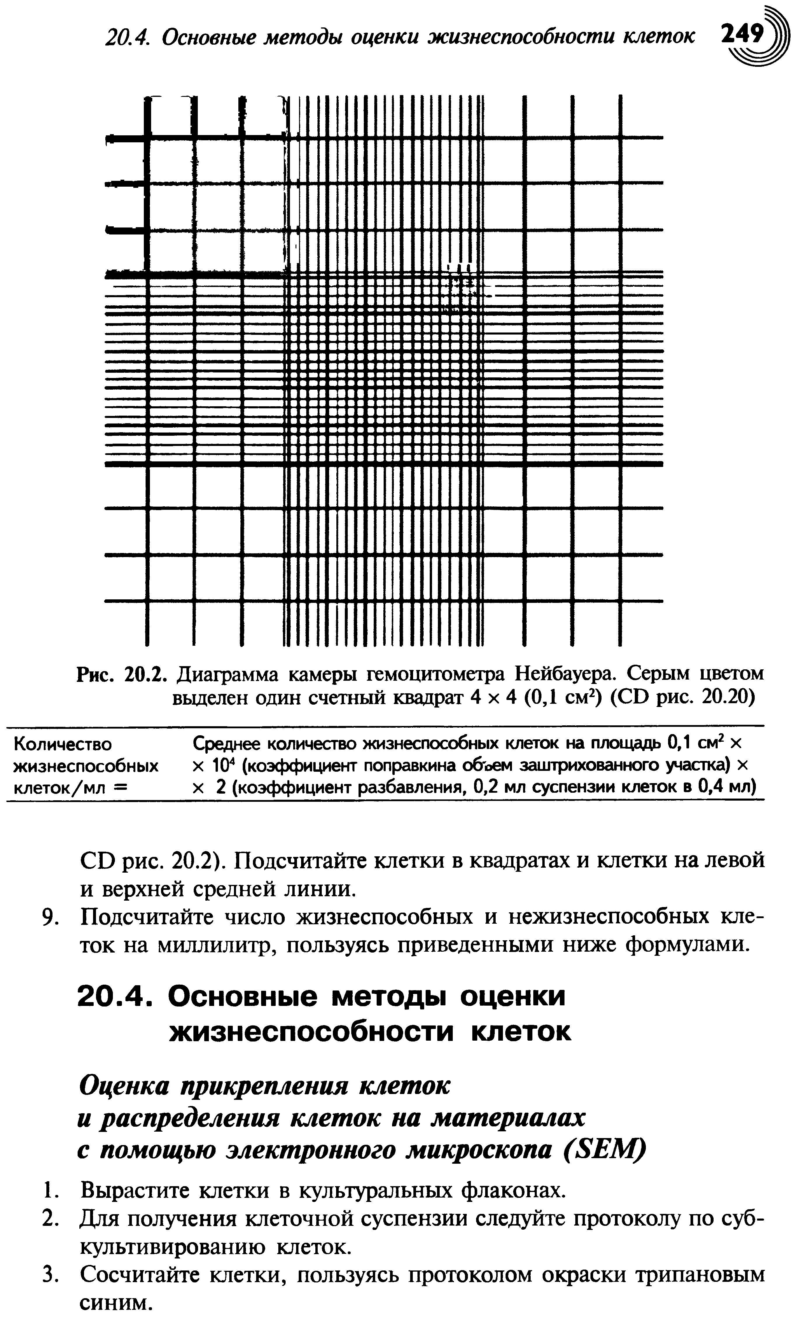 Рис. 20.2. Диаграмма камеры гемоцитометра Нейбауера. Серым цветом выделен один счетный квадрат 4 х 4 (0,1 см2) (СР рис. 20.20)...