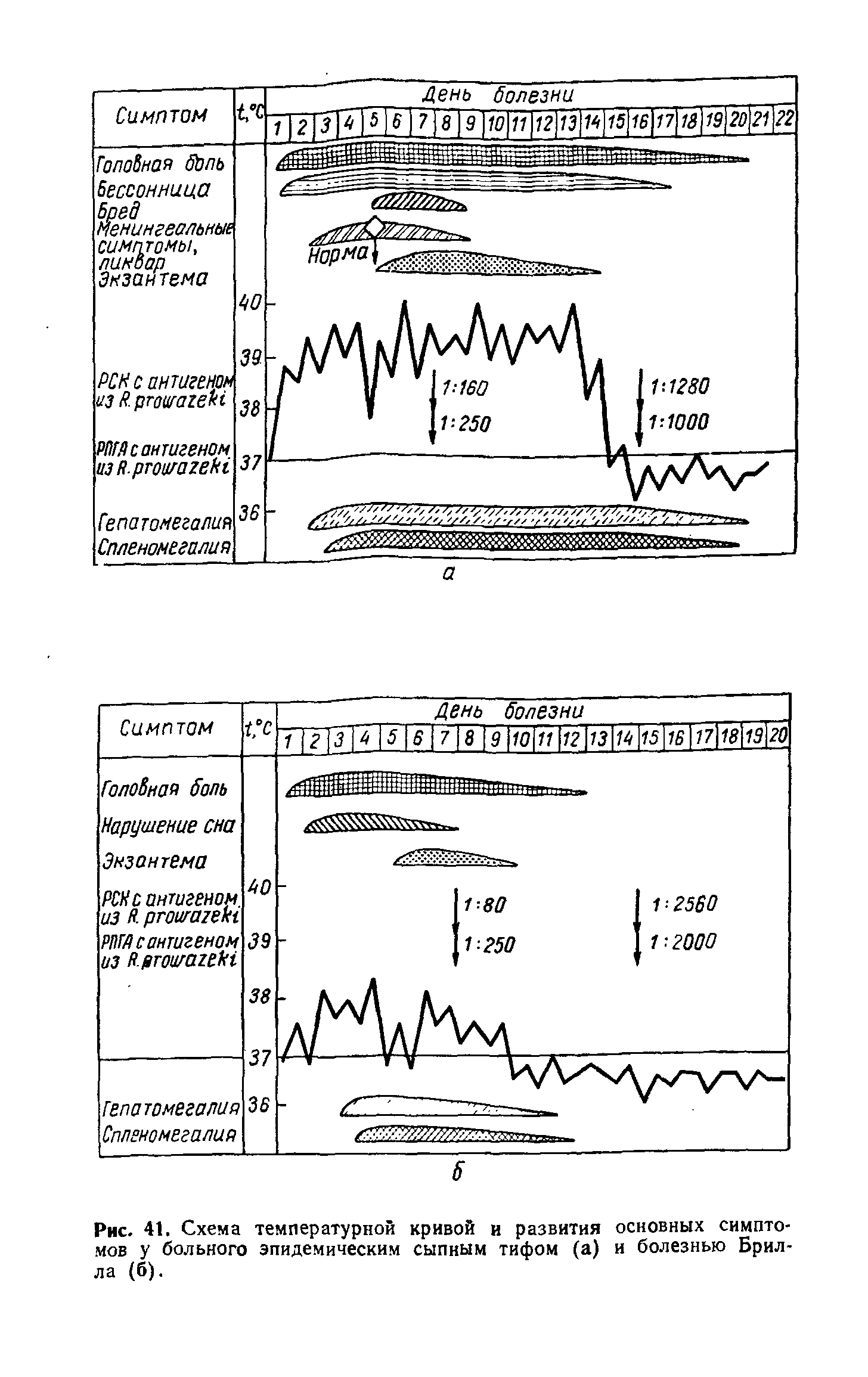 Рис. 41. Схема температурной кривой и развития основных симптомов у больного эпидемическим сыпным тифом (а) и болезнью Брилла (б).
