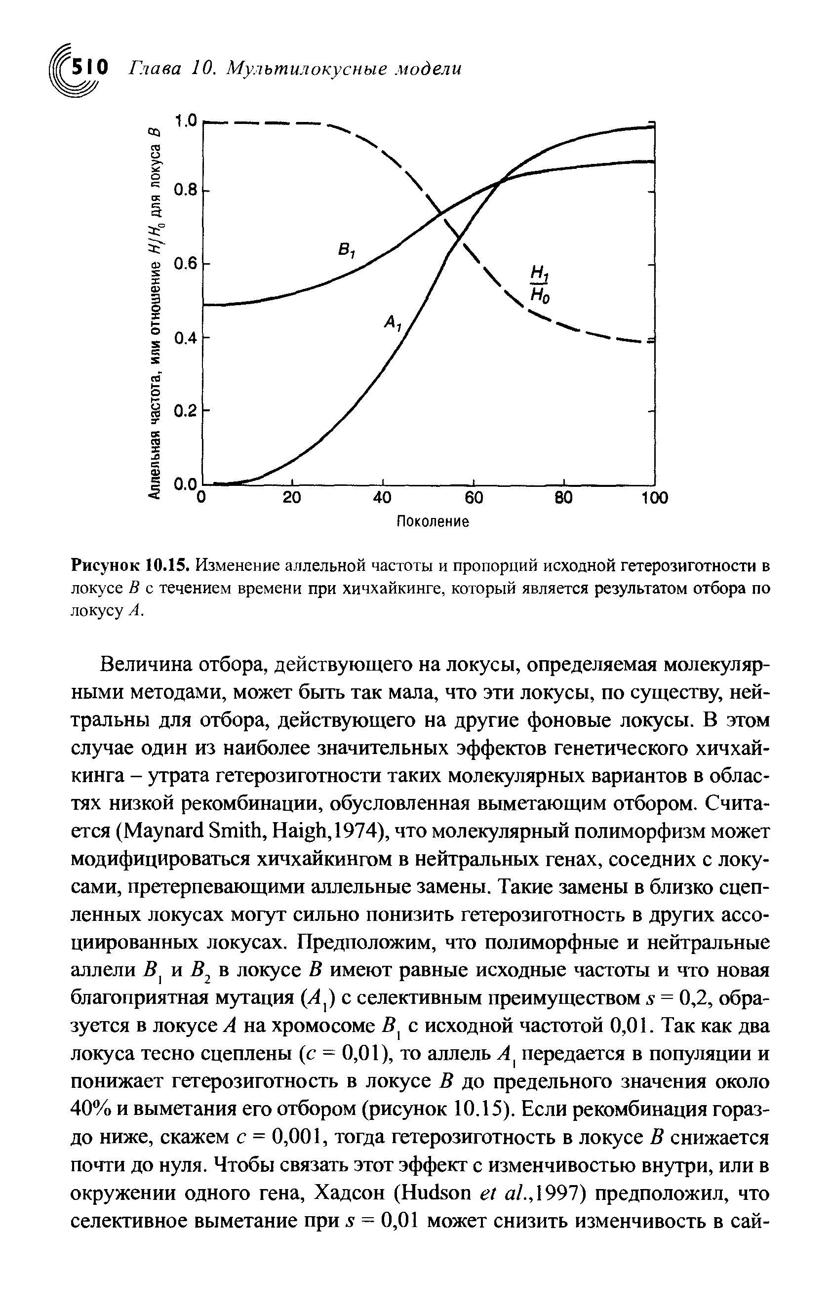 Рисунок 10.15. Изменение аллельной частоты и пропорций исходной гетерозиготности в локусе В с течением времени при хичхайкинге, который является результатом отбора по локусу А.