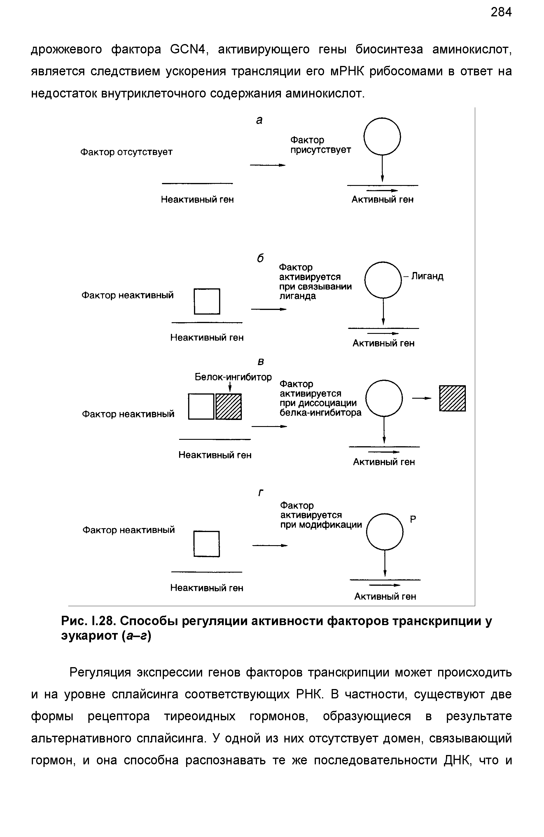 Рис. 1.28. Способы регуляции активности факторов транскрипции у эукариот (а-а)...