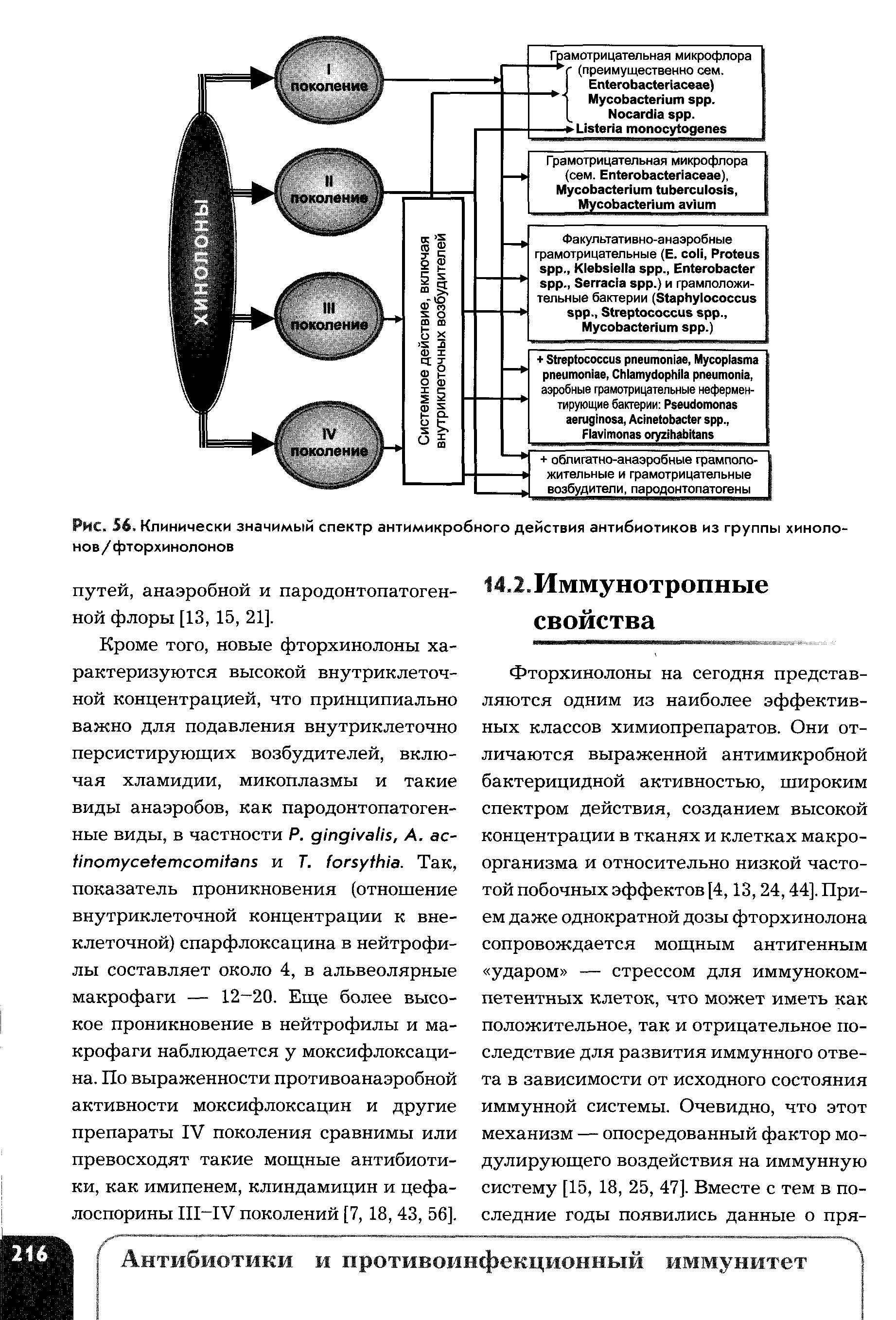 Рис. 56. Клинически значимый спектр антимикробного действия антибиотиков из группы хинолонов/ фторхинолонов...