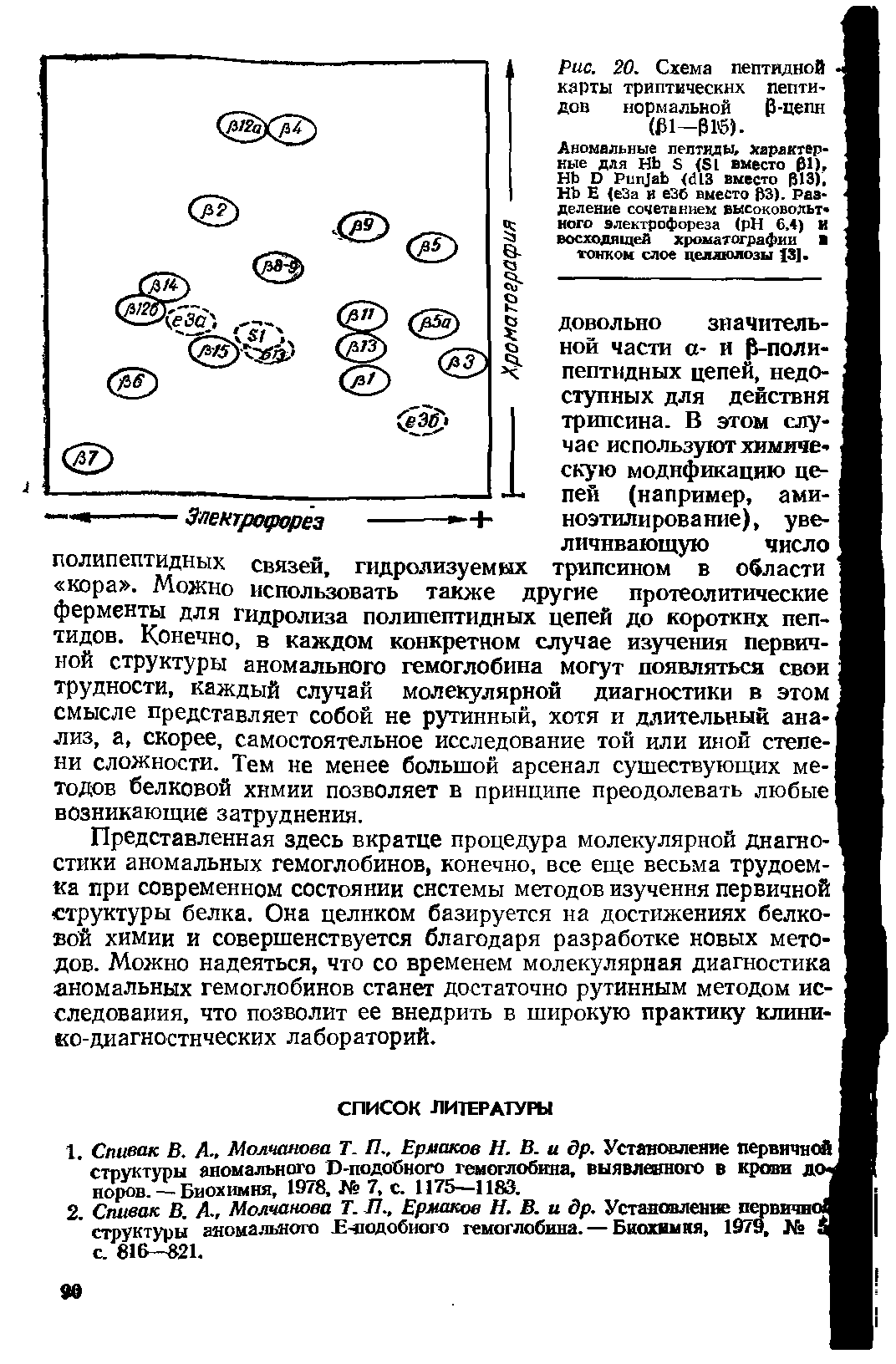 Рис. 20. Схема пептидной карты триптических пептидов нормальной -цепн (01-Р16).