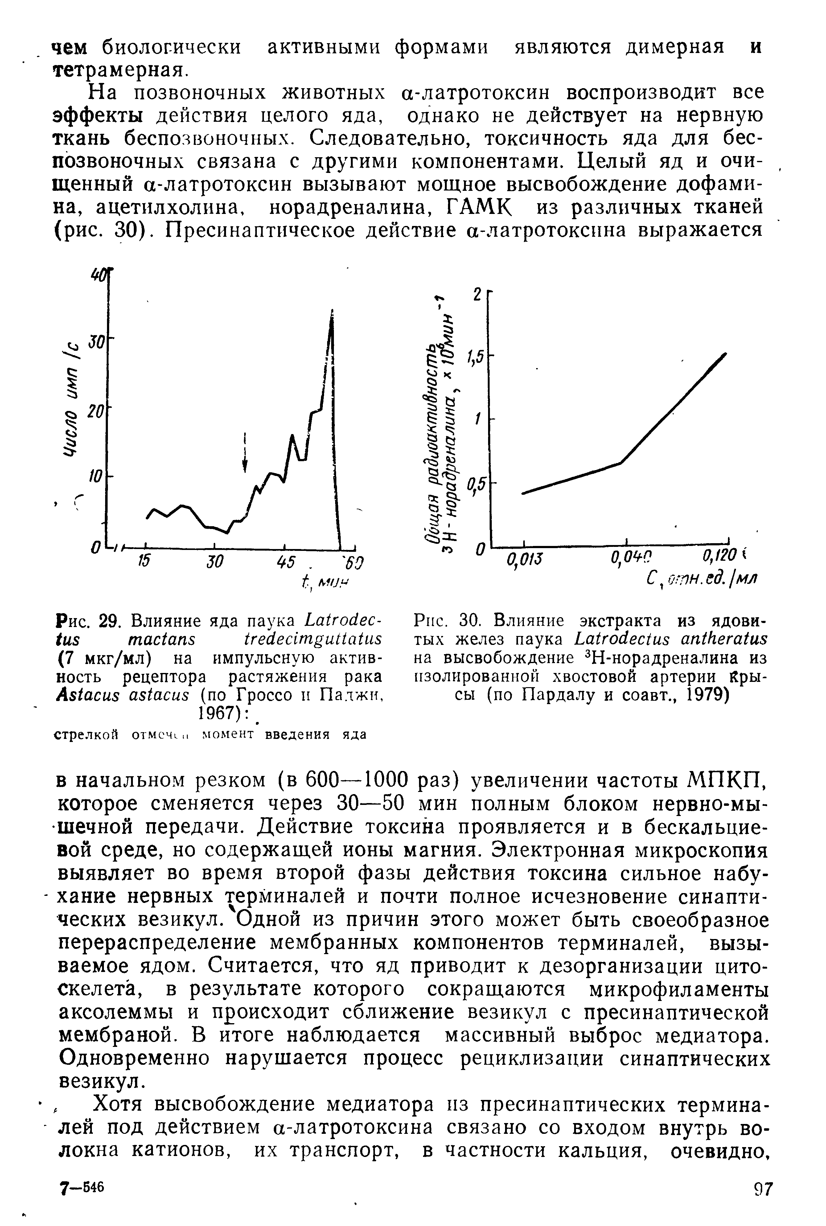 Рис. 29. Влияние яда паука Ьа1гойес-Ьлд табаня ейесипёиМаШз (7 мкг/мл) на импульсную активность рецептора растяжения рака А 1аси8 с асиз (по Гроссо и Па.тжи, 1967) .