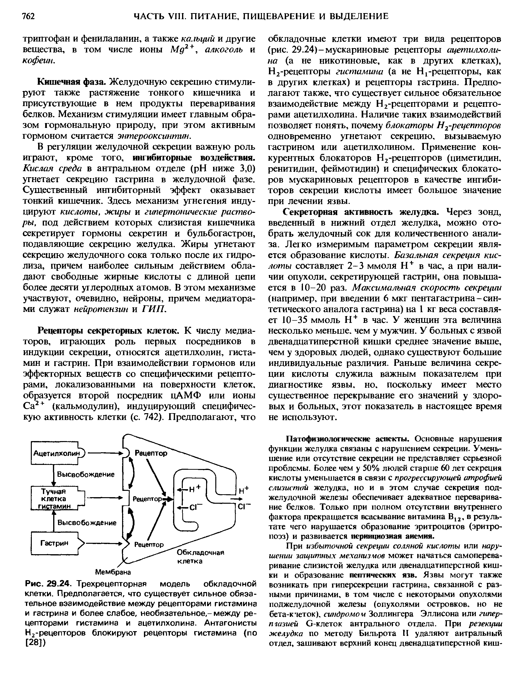 Рис. 29.24. Трехрецепторная модель обкладочной клетки. Предполагается, что существует сильное обязательное взаимодействие между рецепторами гистамина и гастрина и более слабое, необязательное,-между рецепторами гистамина и ацетилхолина. Антагонисты Н2-рецепторов блокируют рецепторы гистамина (по [28])...