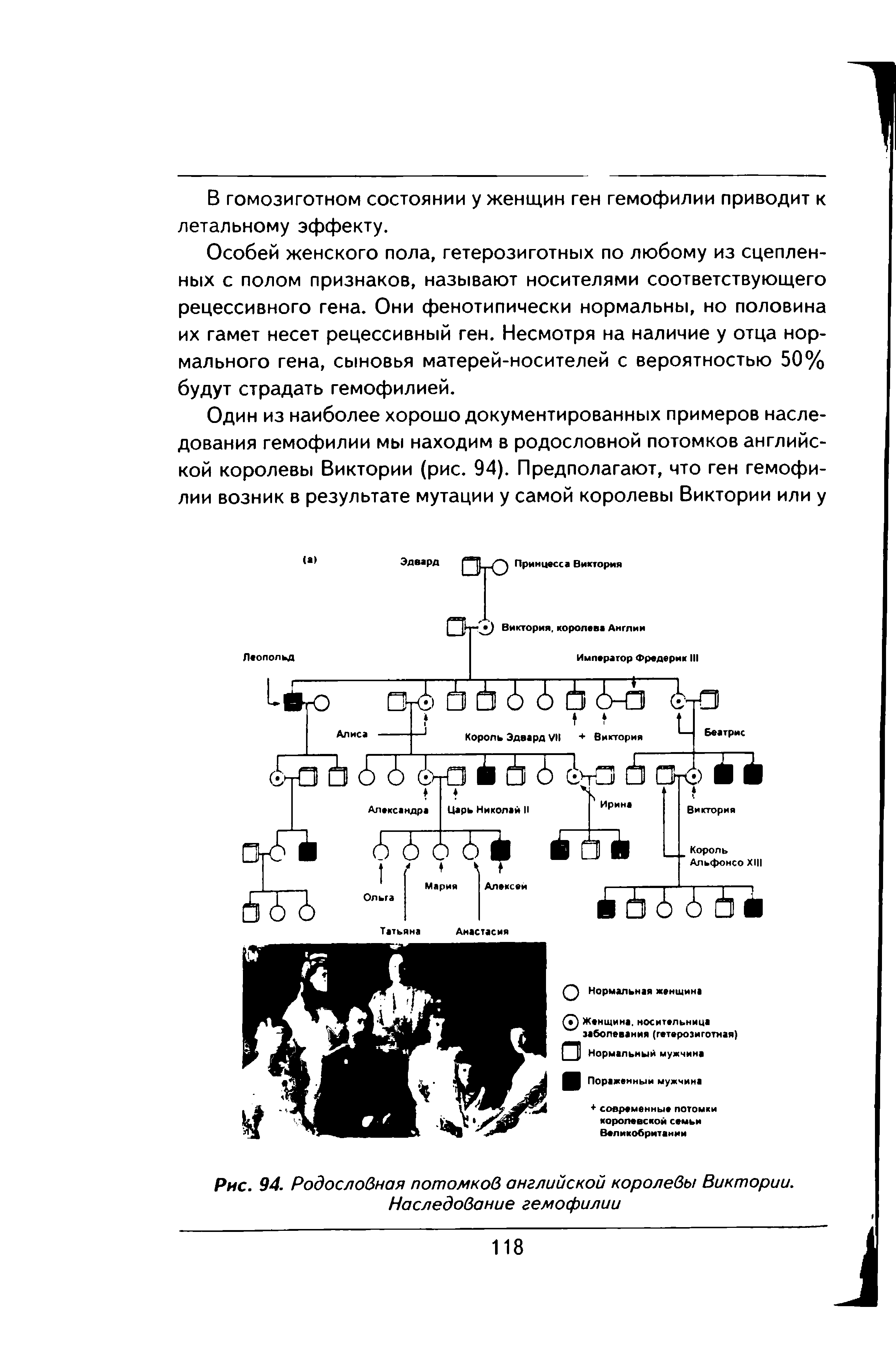 Рис. 94. Родословная потомков английской королевы Виктории. Наследование гемофилии...