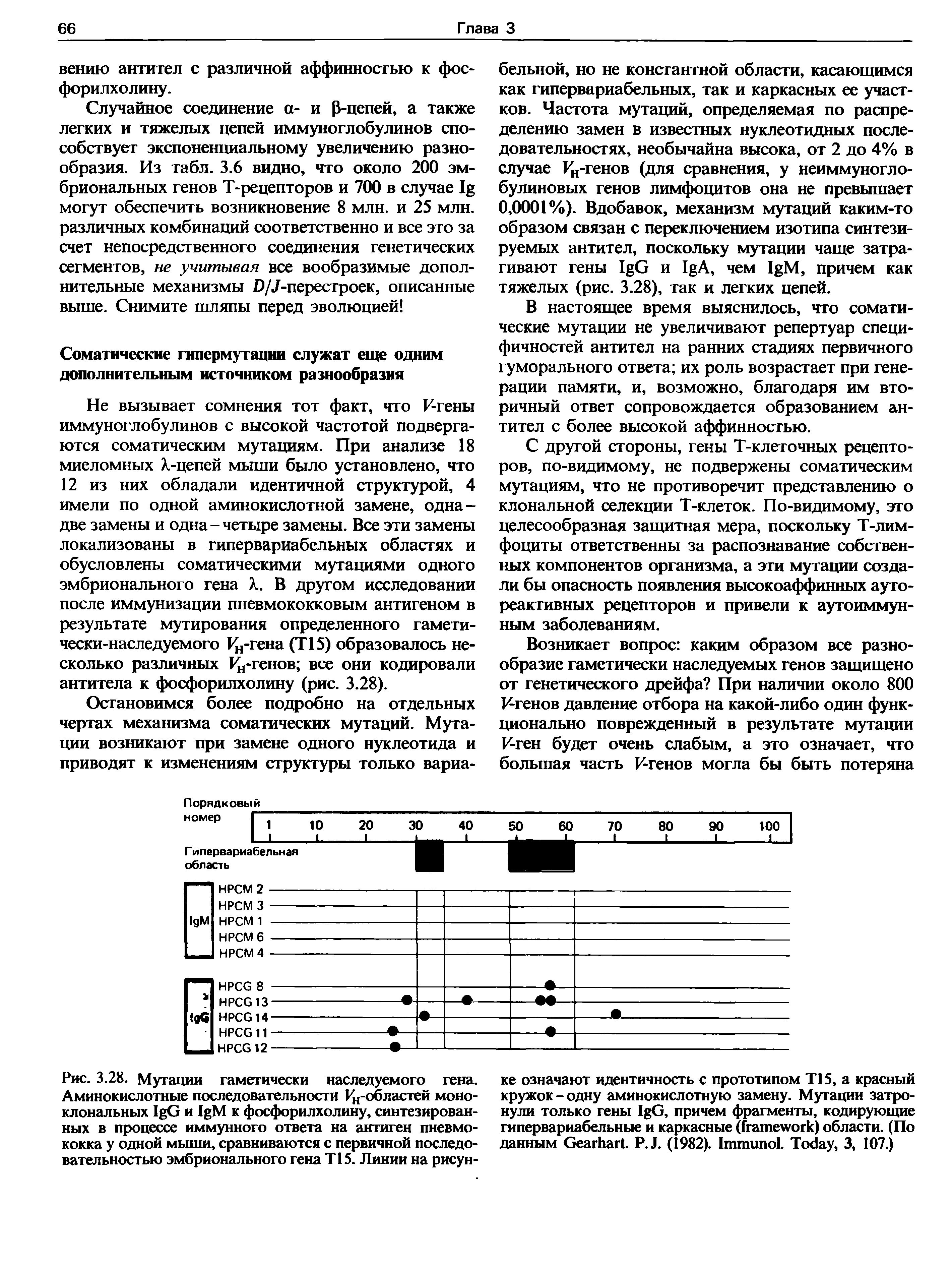 Рис. 3.28. Мутации гаметически наследуемого гена. Аминокислотные последовательности Ин-областсй моноклональных I G и I M к фосфорилхолину, синтезированных в процессе иммунного ответа на антиген пневмококка у одной мыши, сравниваются с первичной последовательностью эмбрионального гена Т15. Линии на рисун...