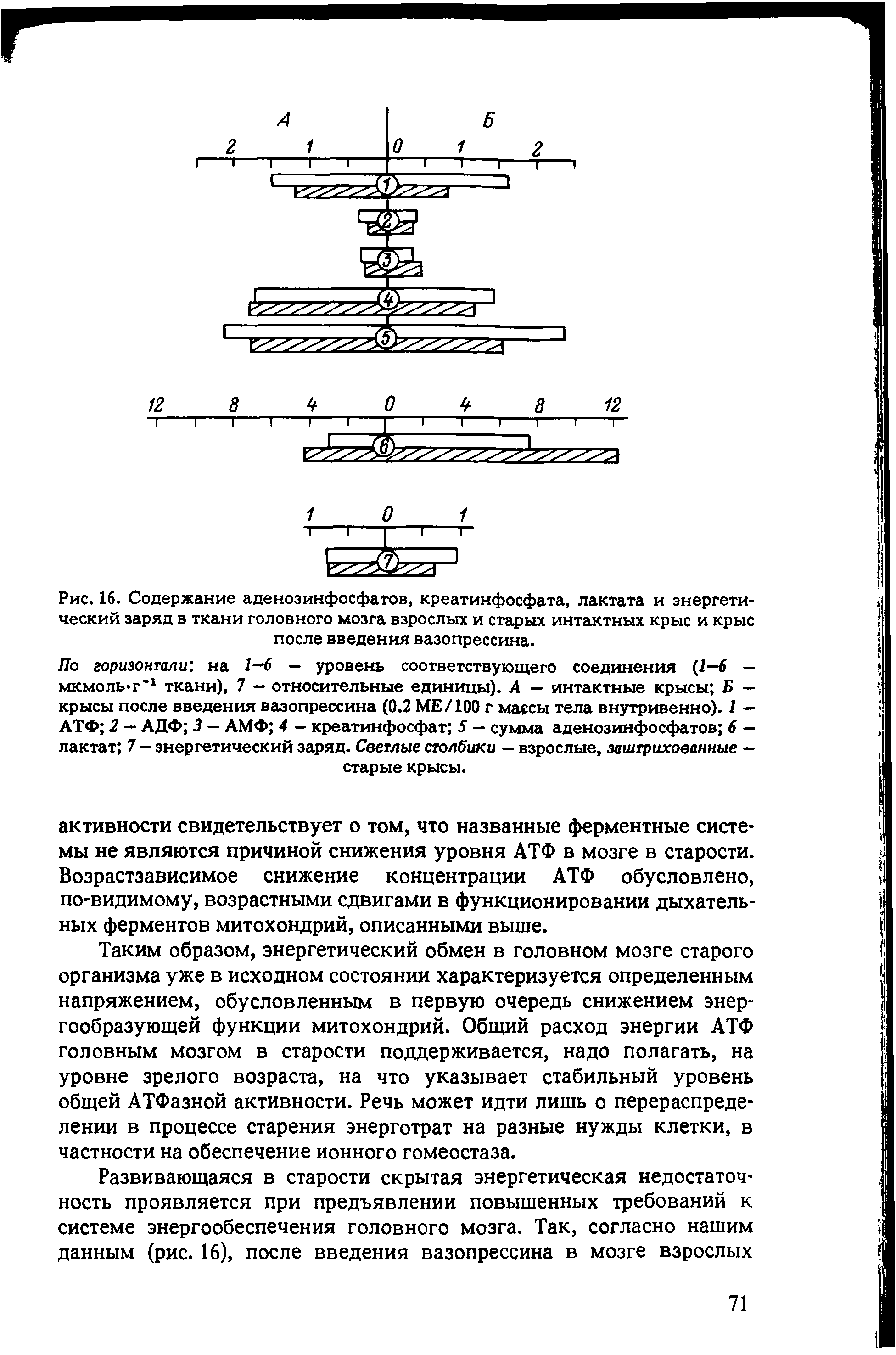 Рис. 16. Содержание аденозинфосфатов, креатинфосфата, лактата и энергетический заряд в ткани головного мозга взрослых и старых интактных крыс и крыс после введения вазопрессина.