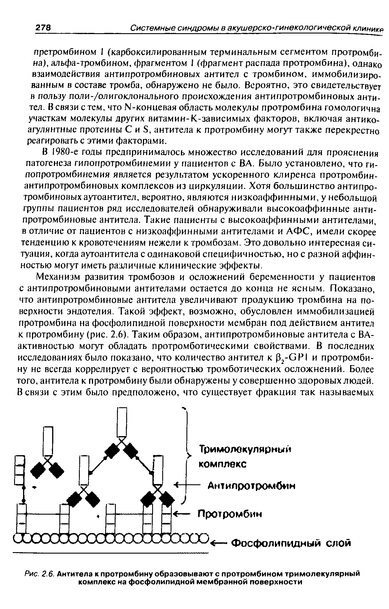 Рис. 2.6. Антитела к протромбину образовывают с протромбином тримолекулярный комплекс на фосфолипидной мембранной поверхности...