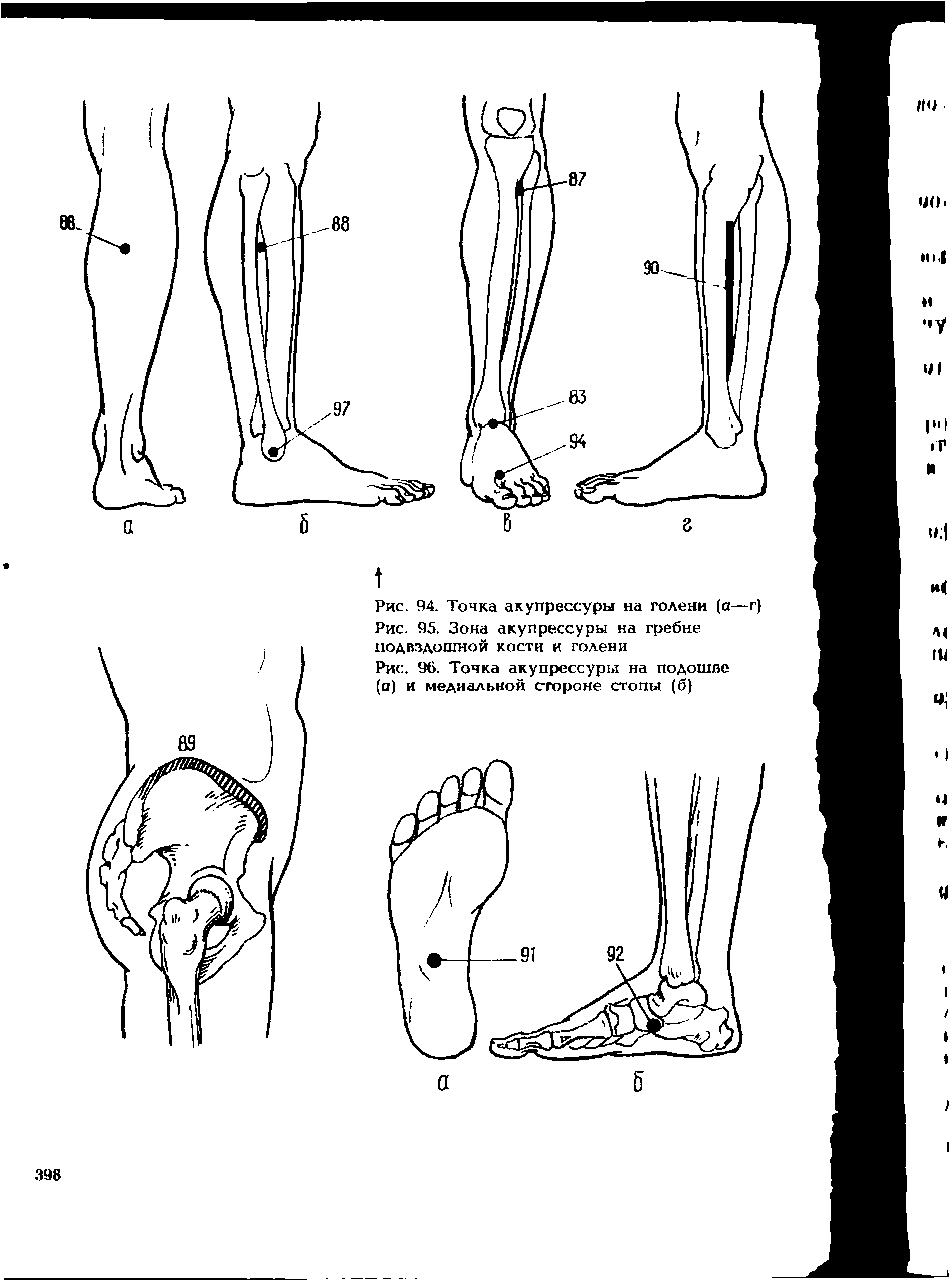 Рис. 95. Зона акупрессуры на гребне подвздошной кости и голени...