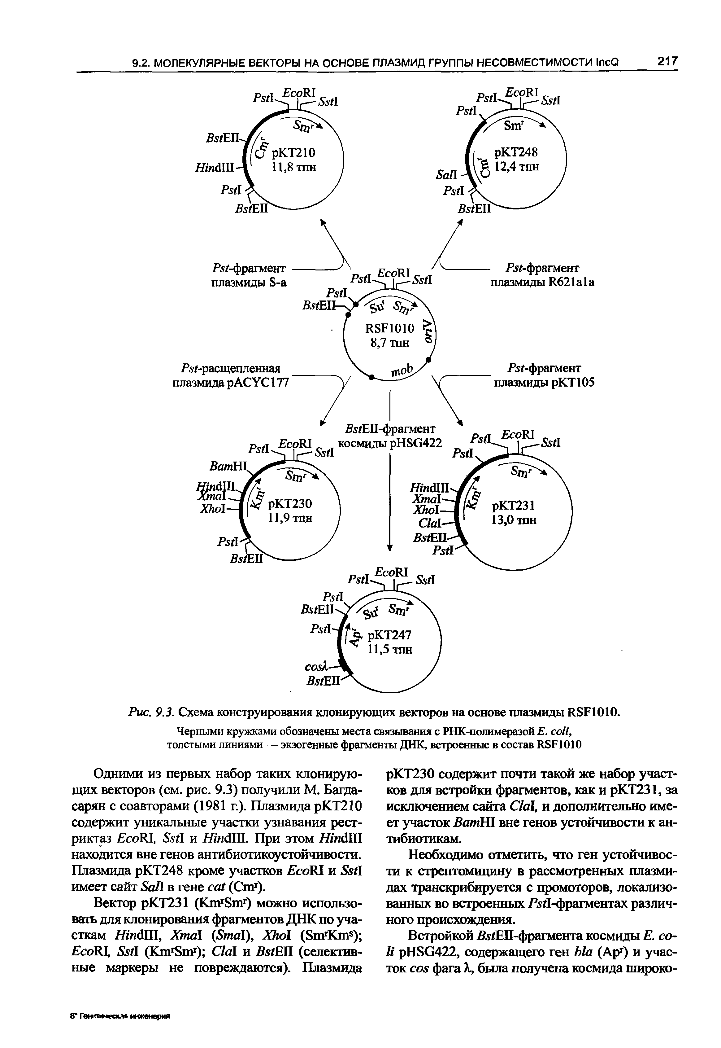 Рис. 9.3. Схема конструирования клонирующих векторов на основе плазмиды RSF1010.