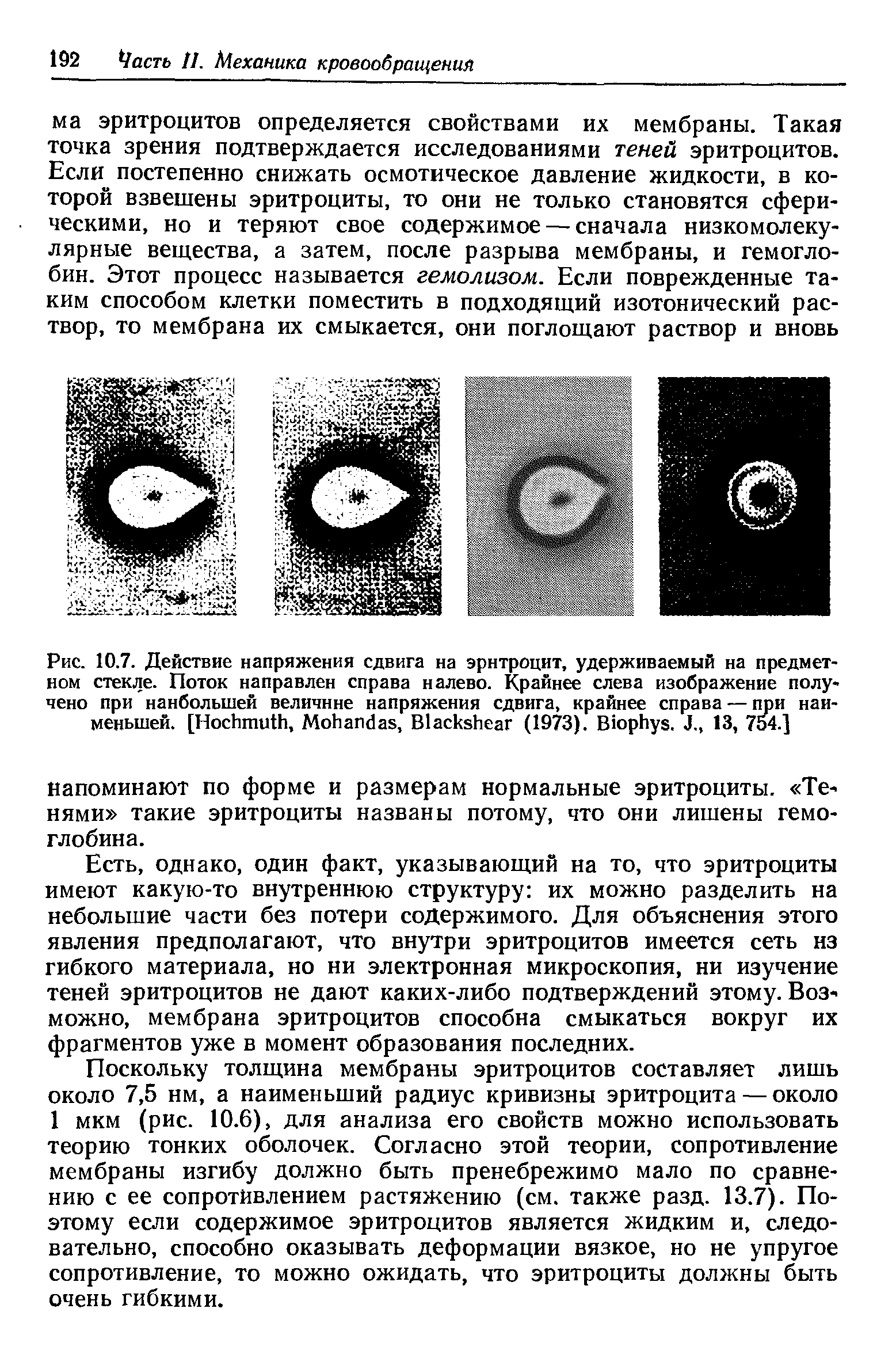 Рис. 10.7. Действие напряжения сдвига на эритроцит, удерживаемый на предметном стекле. Поток направлен справа налево. Крайнее слева изображение получено при наибольшей величине напряжения сдвига, крайнее справа — наименьшей. [H , M , B (1973). B . J., 13, 754.]...