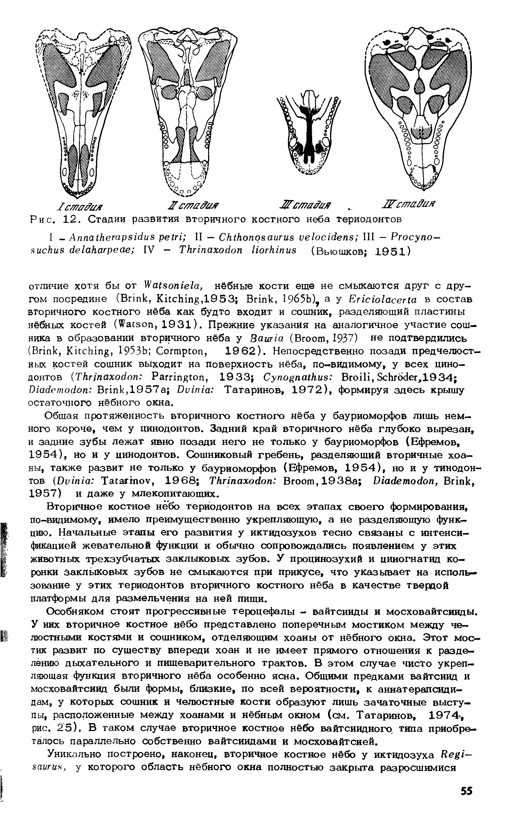 Рис. 12. Стадии развития вторичного костного неба териодонтов...