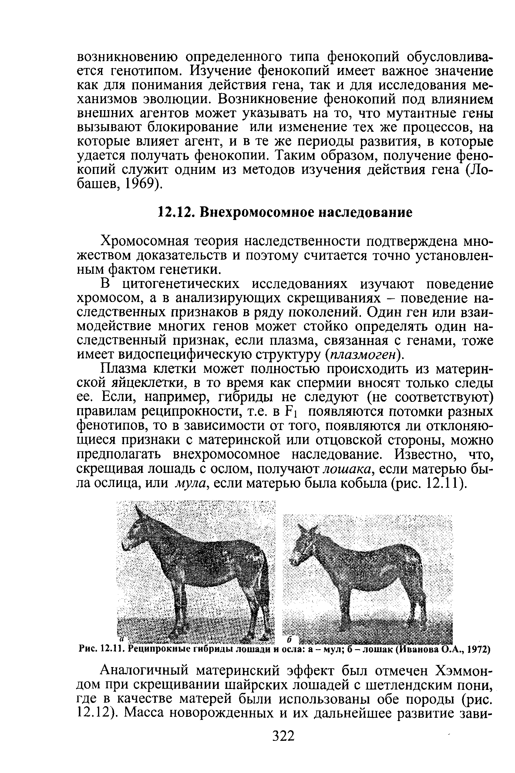 Рис. 12.11. Реципрокные гибриды лошади и осла а- мулТб лммк(Ива11оваб7А., 1972)...