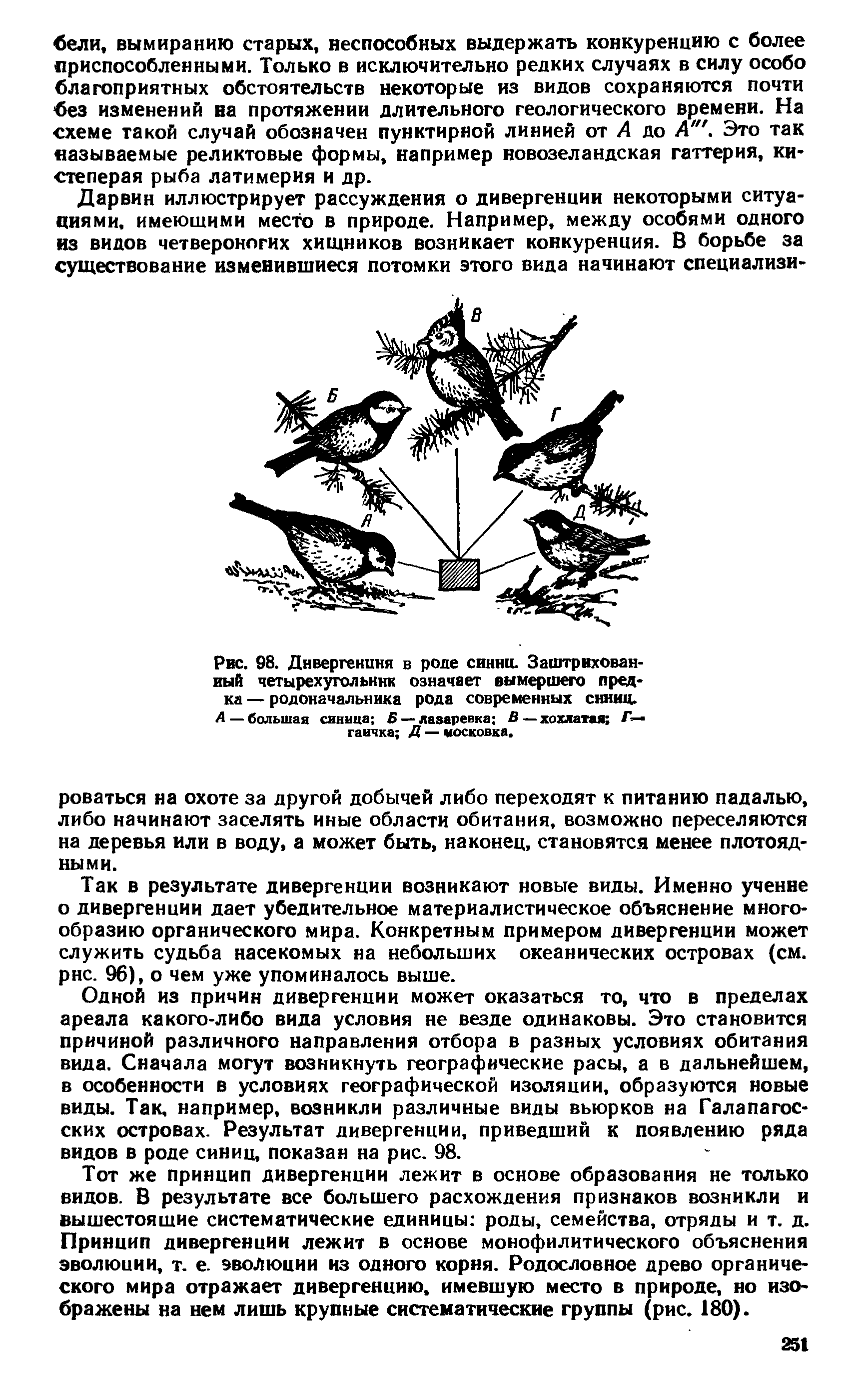 Рис. 98. Дивергенция в роде синиц. Заштрихованный четырехугольник означает вымершего предка — родоначальника рода современных синиц.