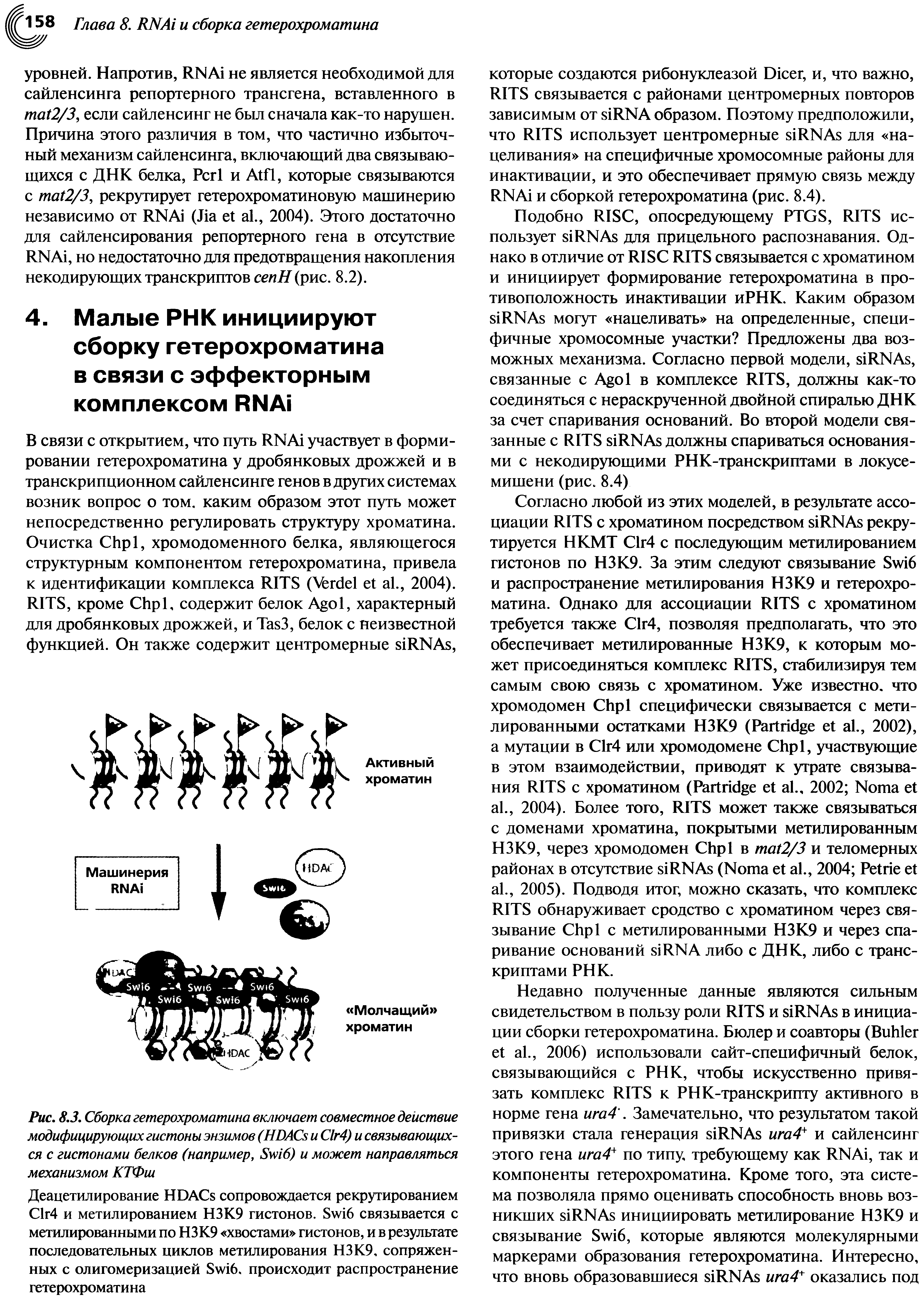 Рис. 8.3. Сборка гетерохроматина включает совместное действие модифицирующих гистоны энзимов (НБАС8 и С1г4) и связывающихся с гистонами белков (например, 3 36) и может направляться механизмом КТФш...