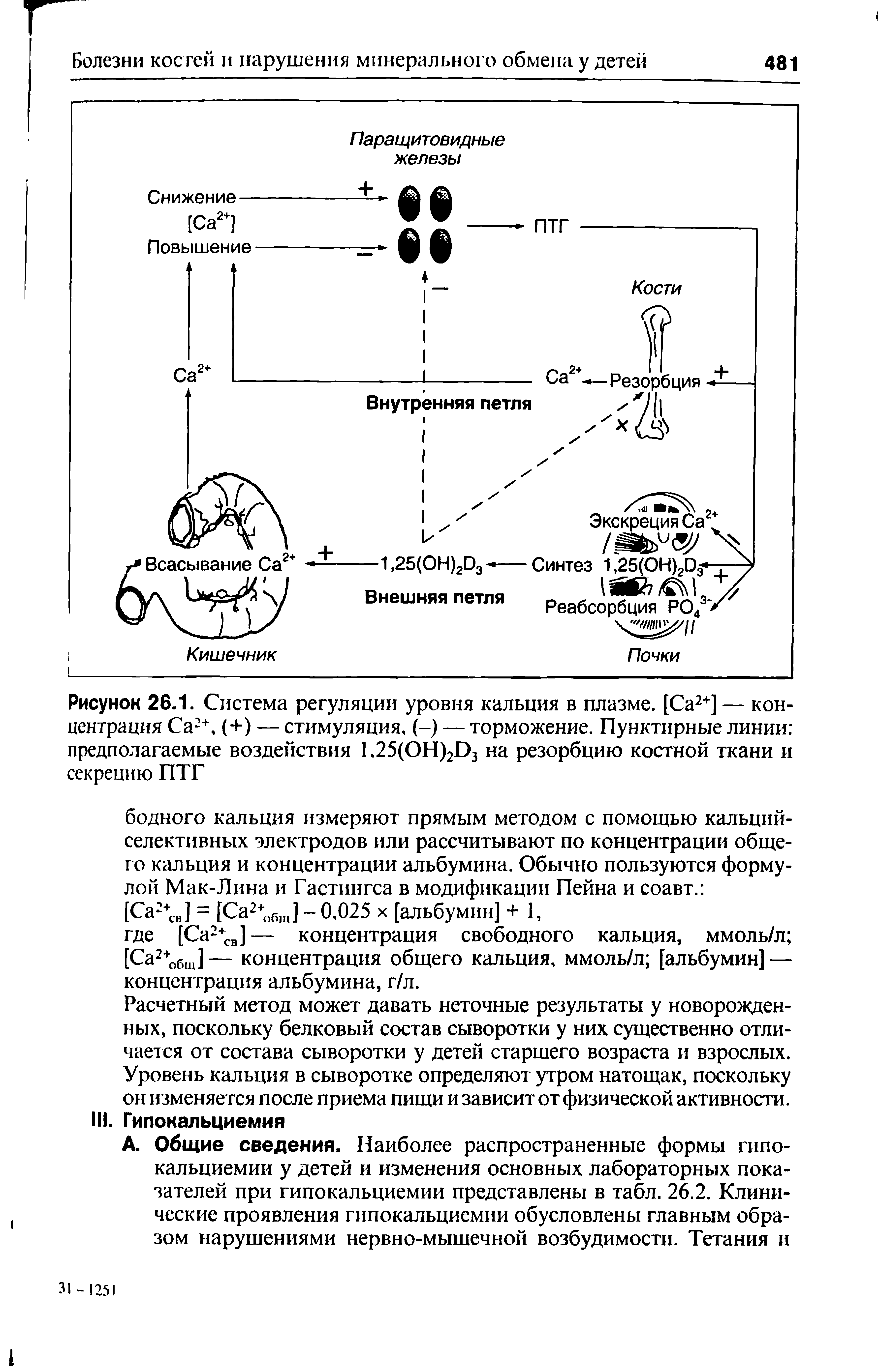 Рисунок 26.1. Система регуляции уровня кальция в плазме. [Са2+] — концентрация Са2+, (+) — стимуляция, (-) — торможение. Пунктирные линии предполагаемые воздействия 1.25(ОН)2П3 на резорбцию костной ткани и секрецию ПТГ...