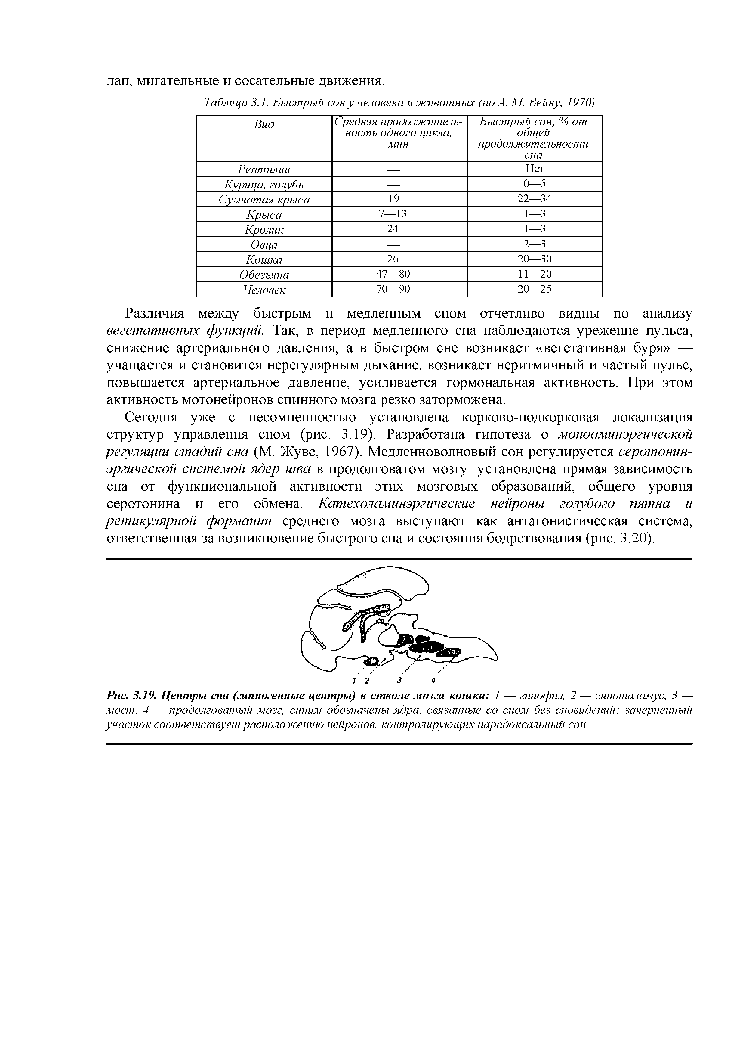 Рис. 3.19. Центры сна (гипногенные центры) в стволе мозга кошки 1 — гипофиз, 2 — гипоталамус, 3 — мост, 4 — продолговатый мозг, синим обозначены ядра, связанные со сном без сновидений зачерненный участок соответствует расположению нейронов, контролирующих парадоксальный сон...