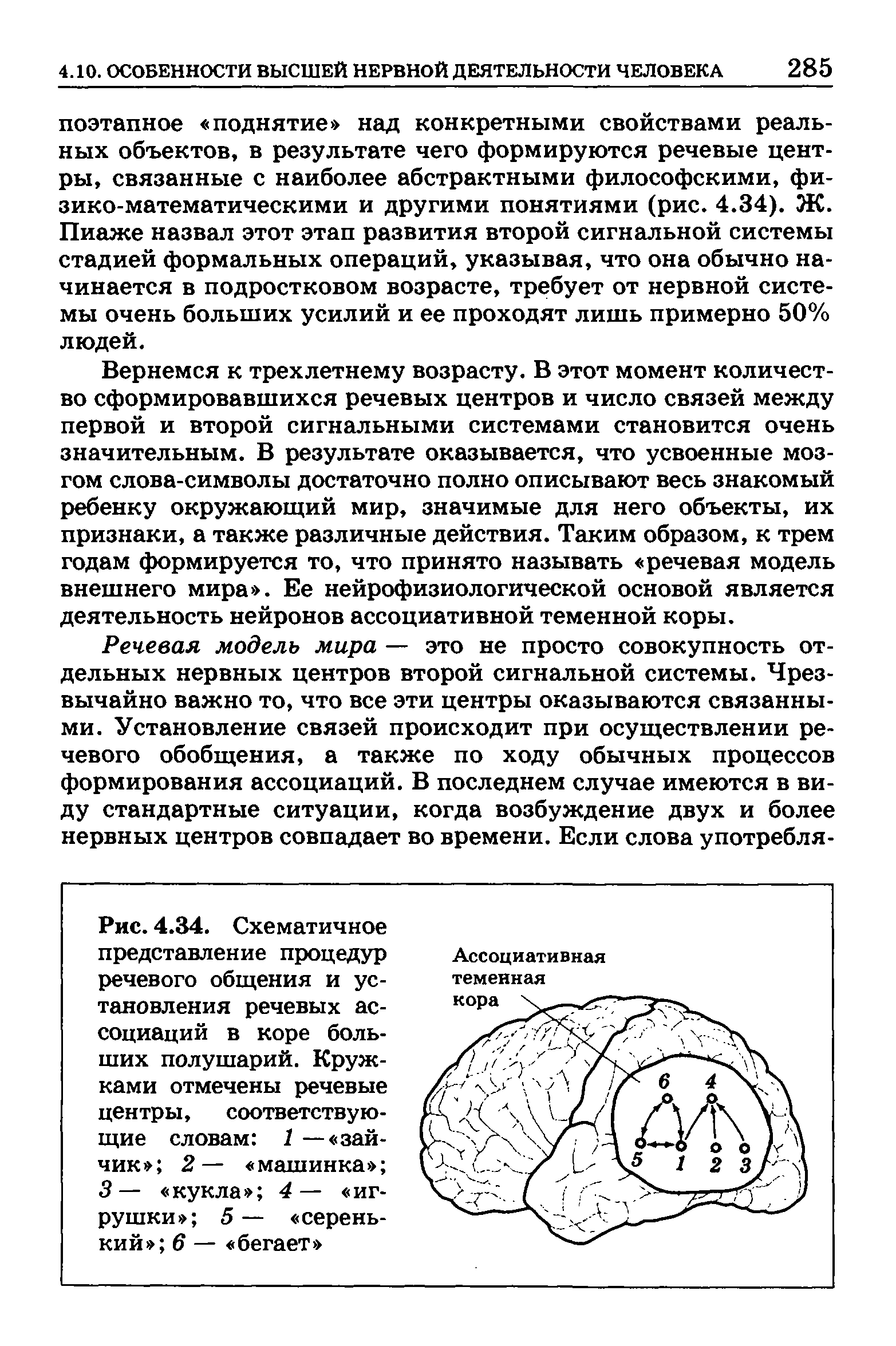 Рис. 4.34. Схематичное представление процедур речевого общения и установления речевых ассоциаций в коре больших полушарий. Кружками отмечены речевые центры, соответствующие словам 1 — зайчик 2— машинка 3— кукла 4— игрушки 5— серенький 6 — бегает ...