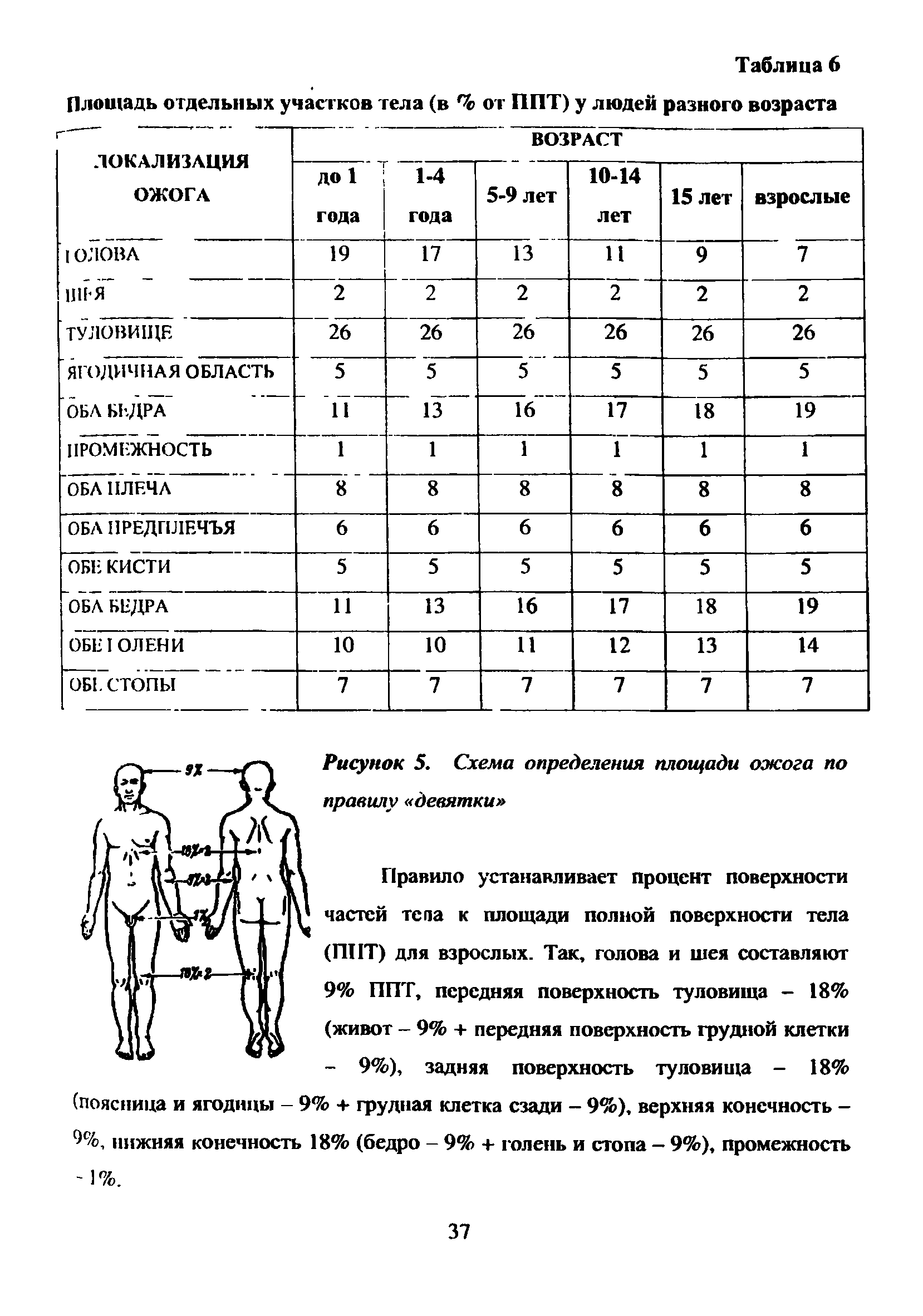 Рисунок 5. Схема определения площади ожога по правилу девятки ...